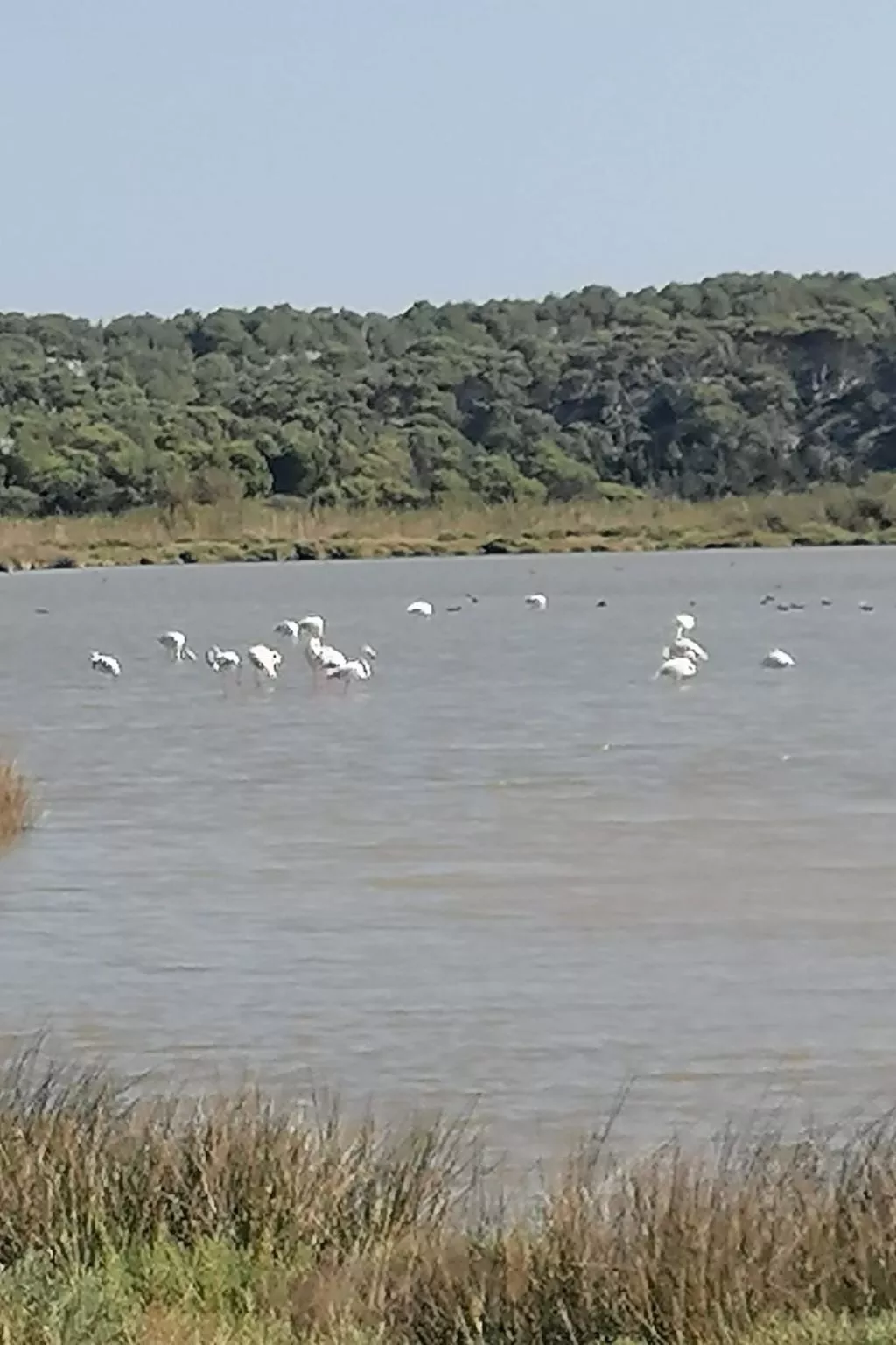 Maison Bleu - Image-tags.info