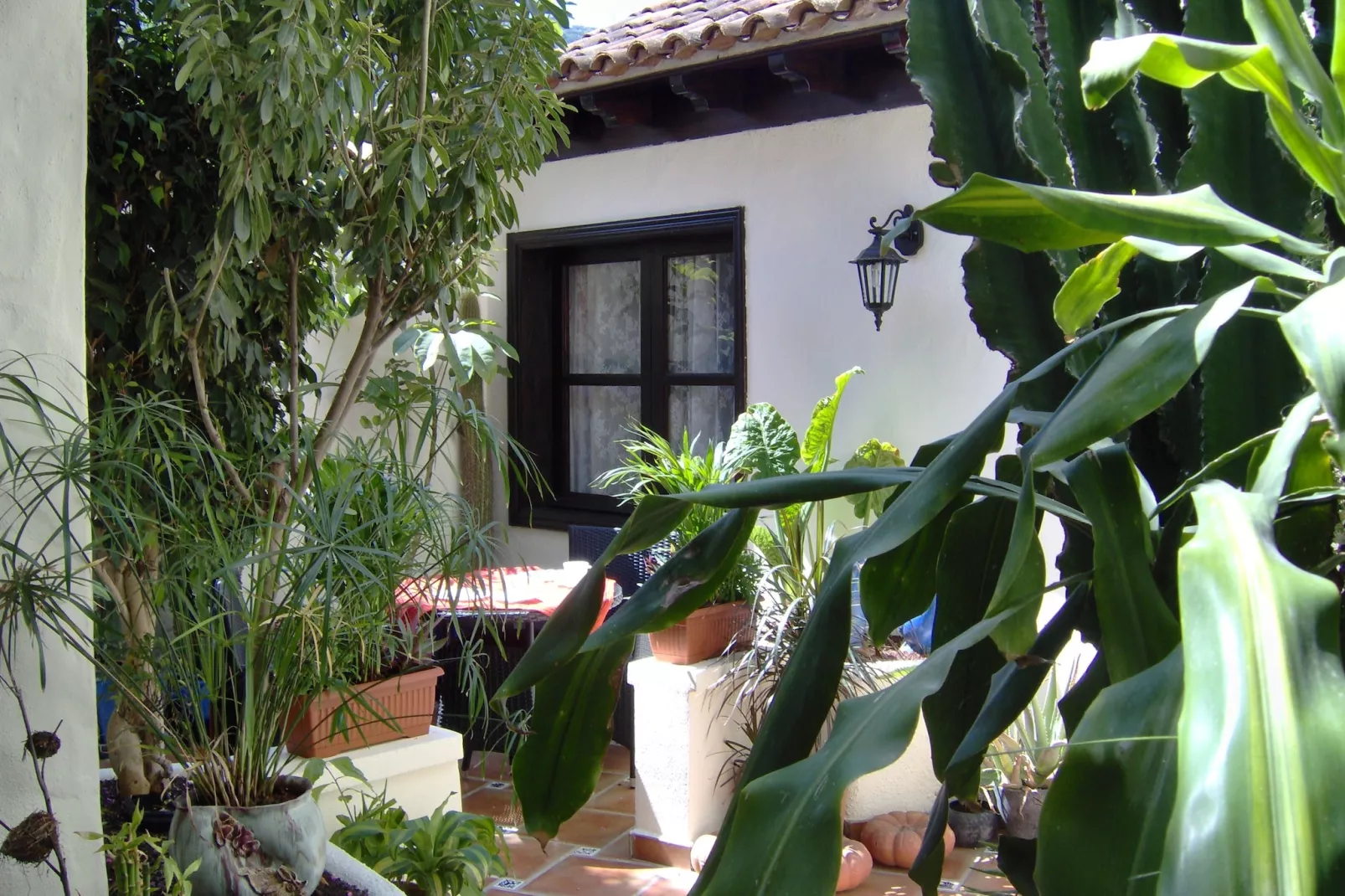 Apartamentos Monasterio de San Antonio 2 - Buitenkant zomer