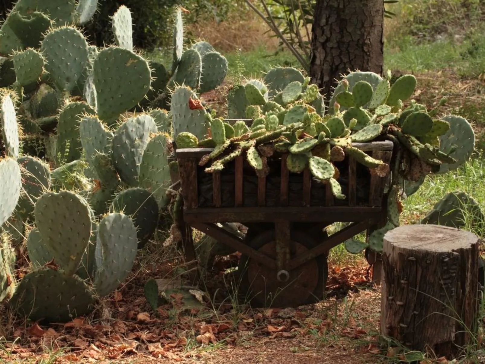 Modernes Ferienhaus in Drenje mit Privatem Garten - Binnen