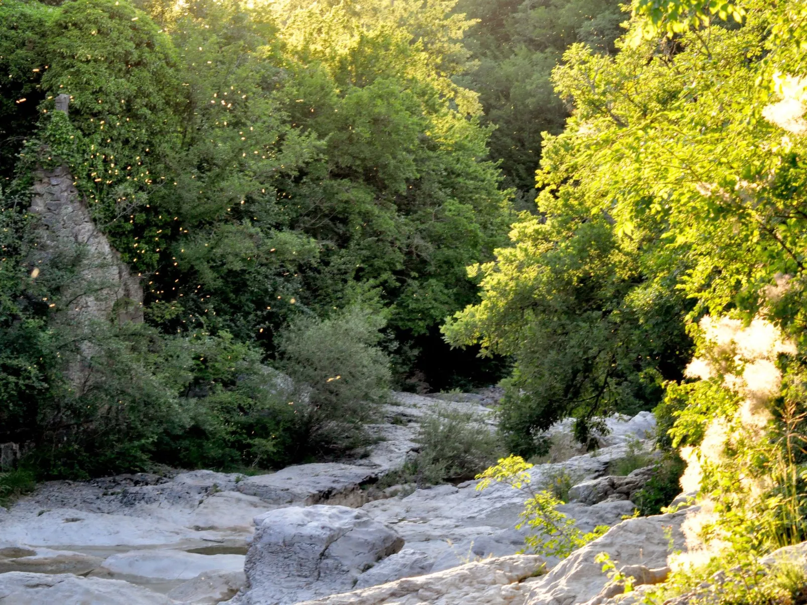 Istrien Traditionelles Steinhaus 8 - Image-tags.info