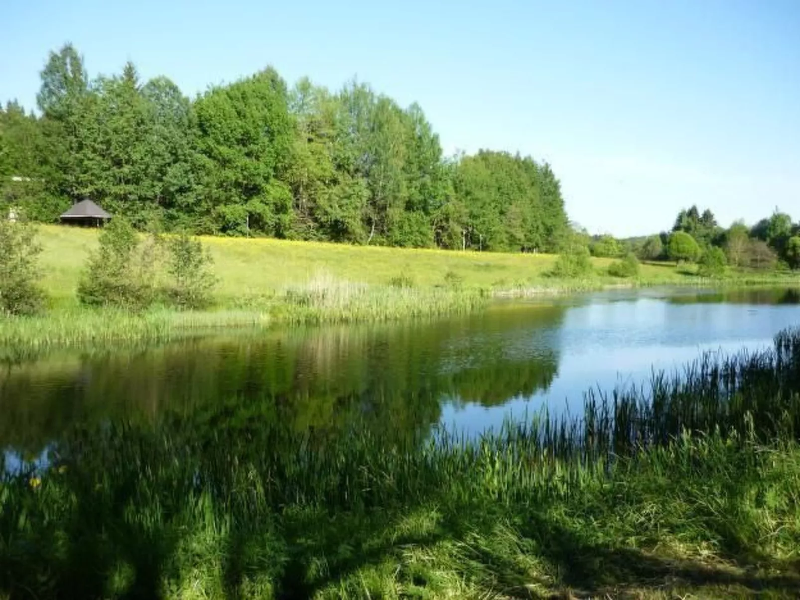 Moderne Ferienwohnung mit Gartennutzung - Buiten