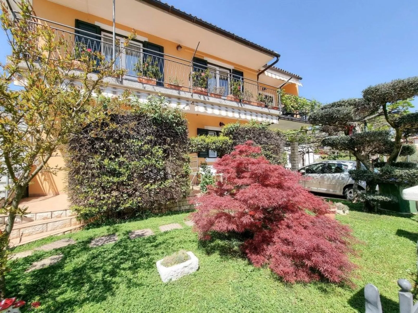 Alma - Image-tags.info