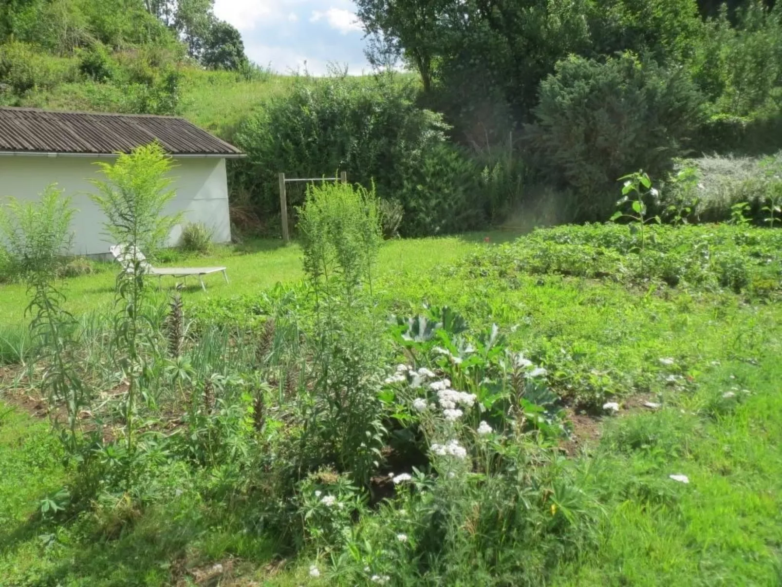 In ruhiger Lage in der Nähe zahlreicher Wanderro - Buiten