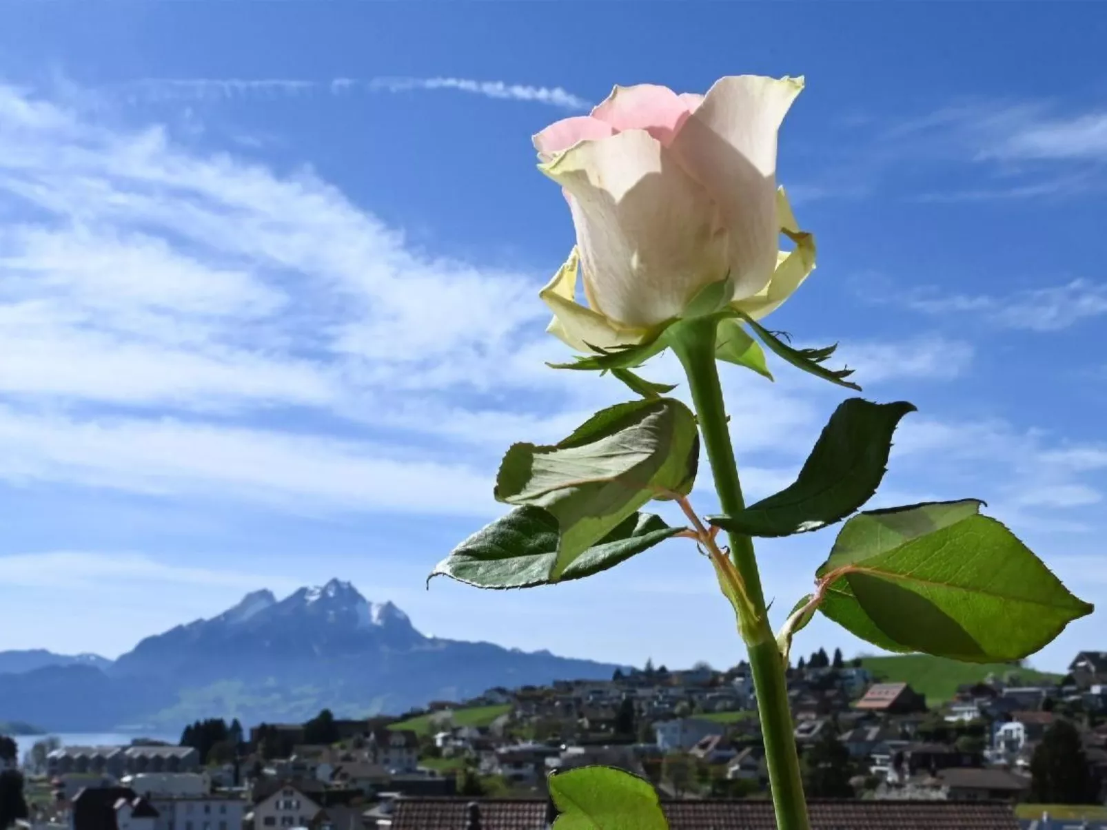 Appartement Alpenblick / F6 - Buiten