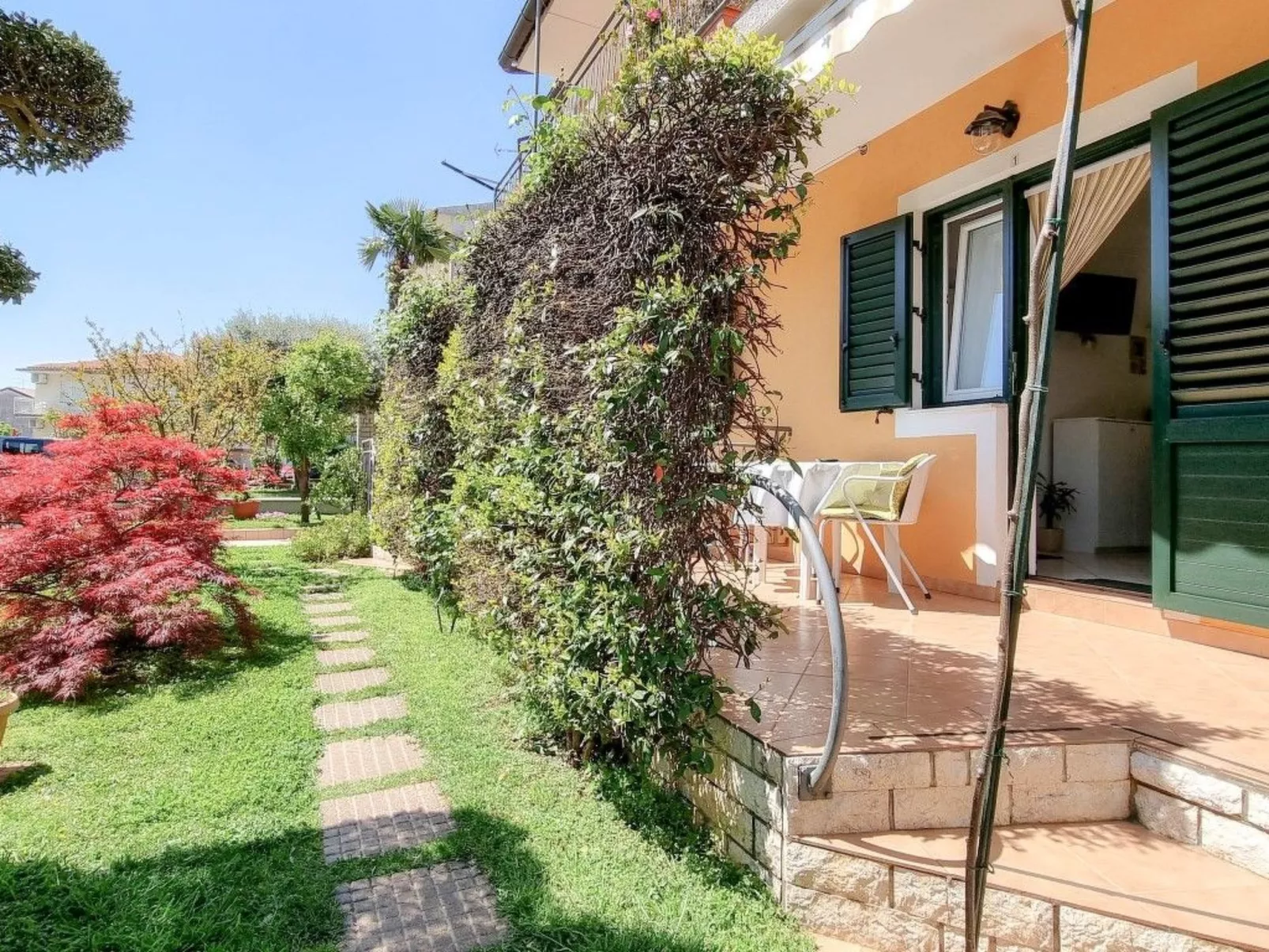 Alma - Image-tags.info