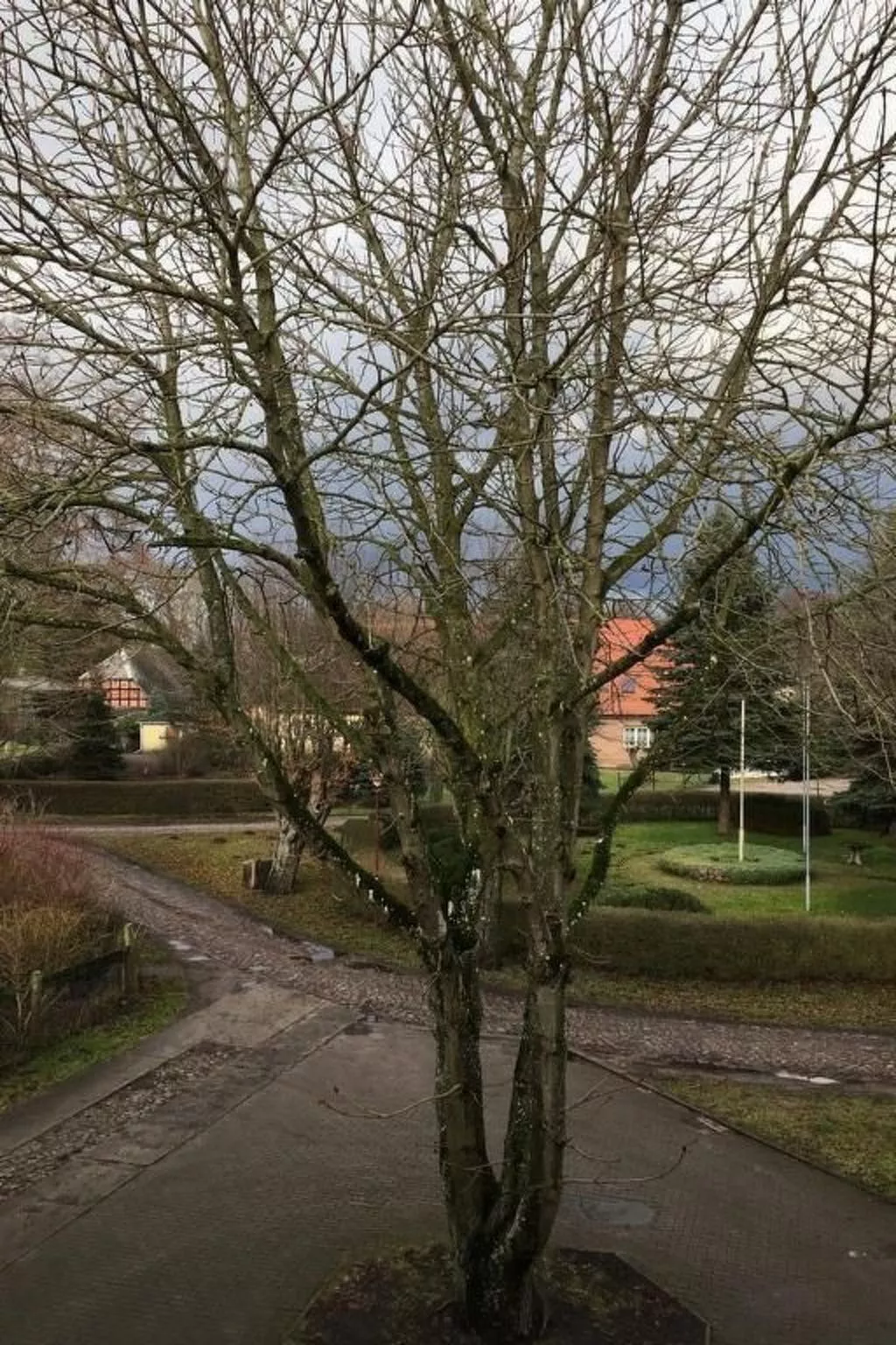 Kastanienblick - Buiten