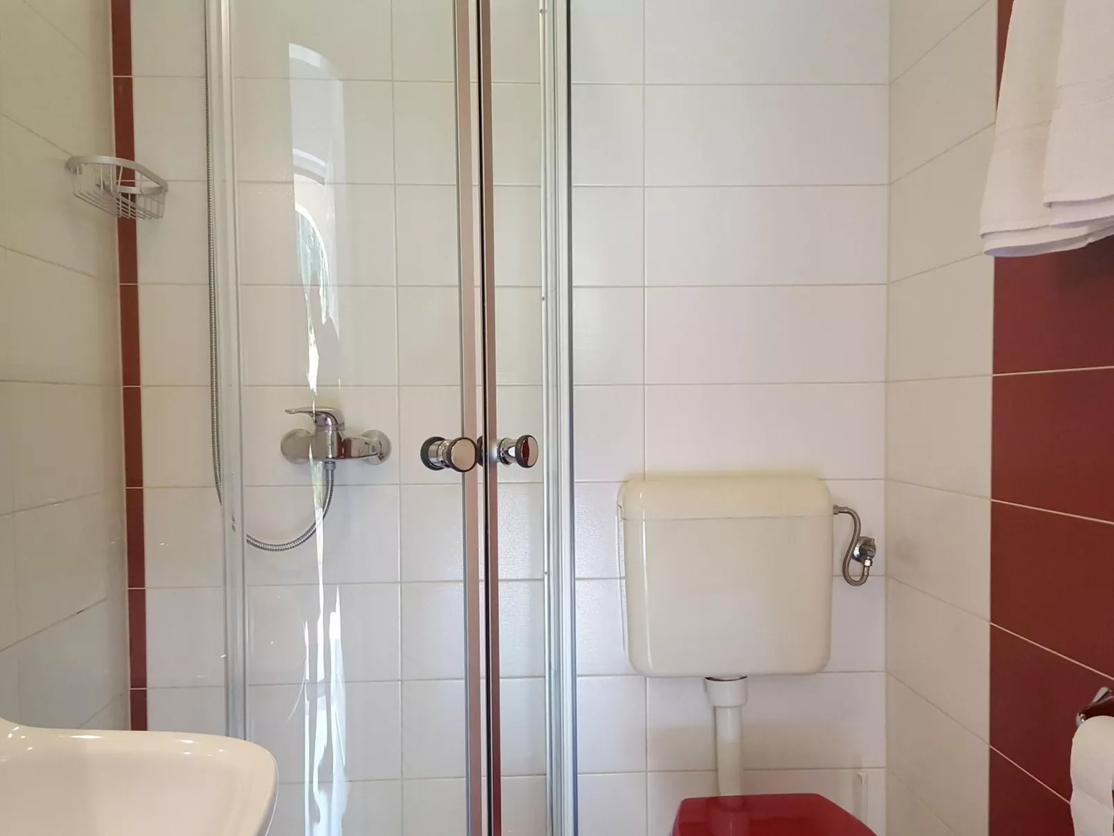 Ginkgo 4 - Image-tags.info