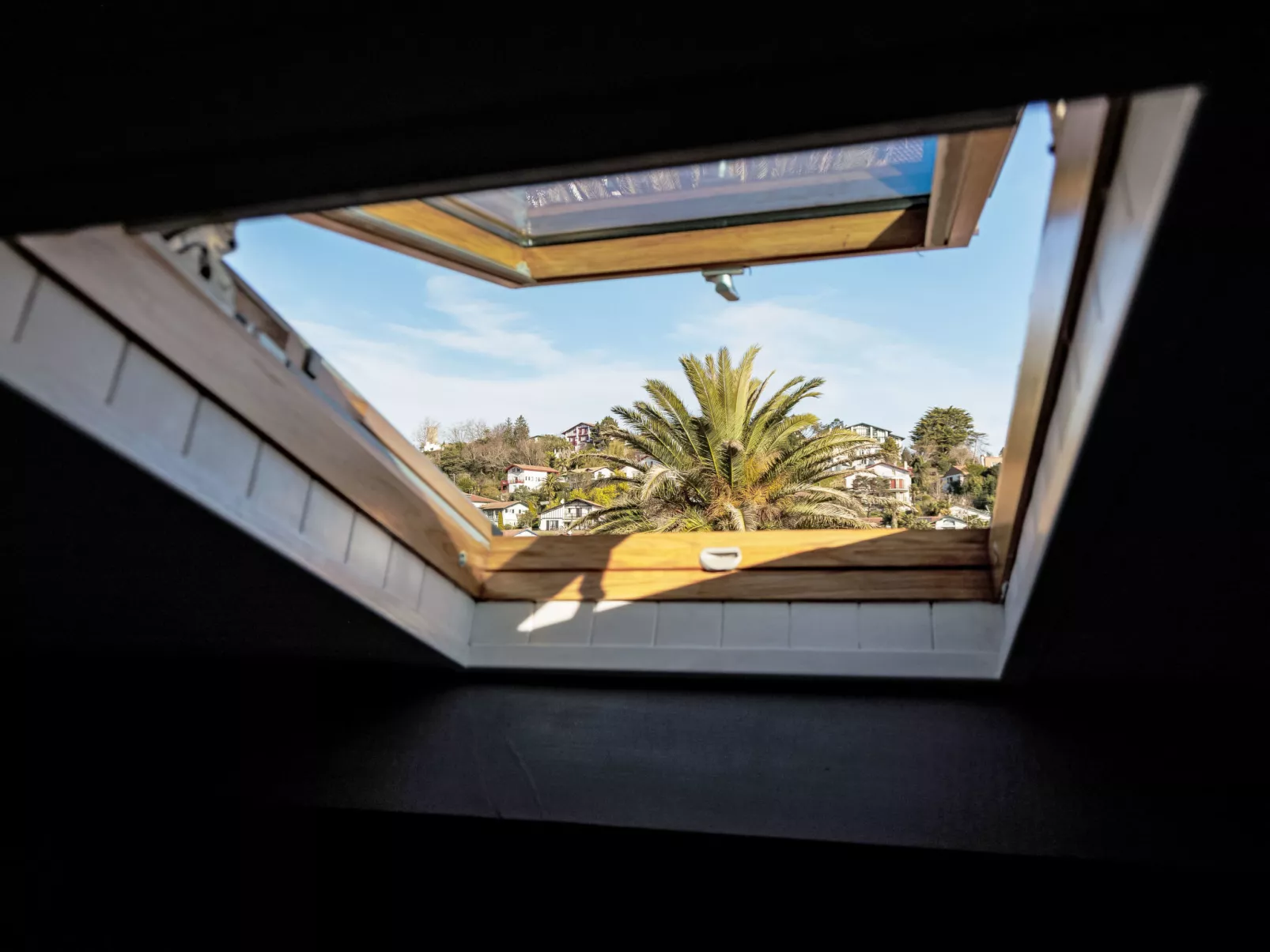 Barasteguia - Buiten