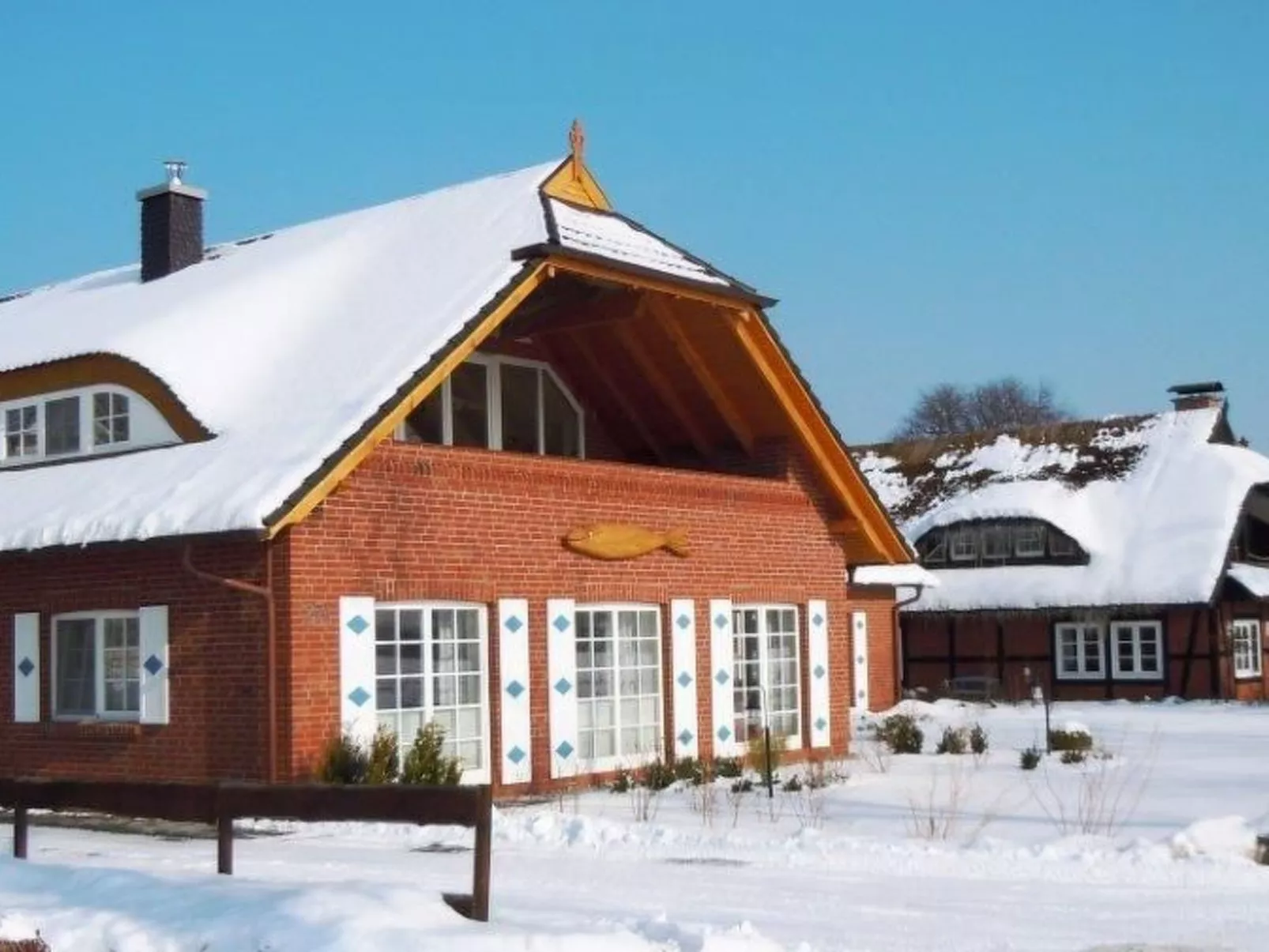 Tohus - Tamme - Image-tags.info