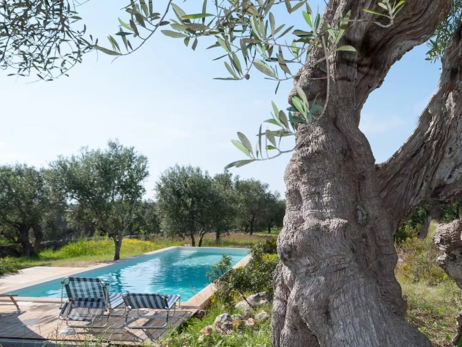 Architektenvilla mit Meerblick im Süden Apuliens - Buiten