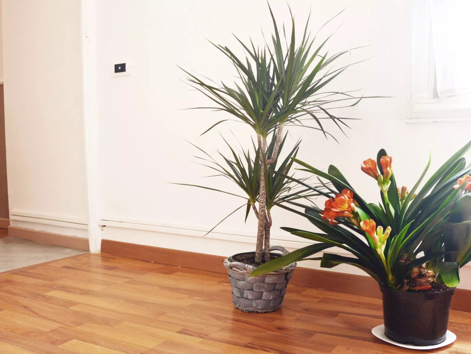 Zimmer 'Rose' mit Balkon - Image-tags.info