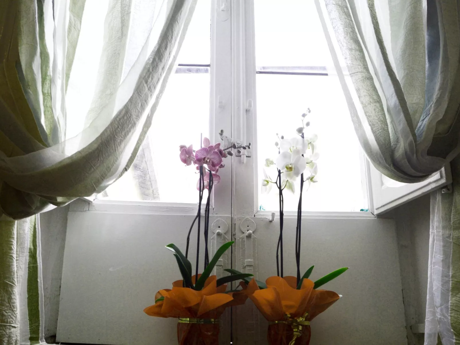 Gästezimmer 'Giglio' mit Balkon - Image-tags.info