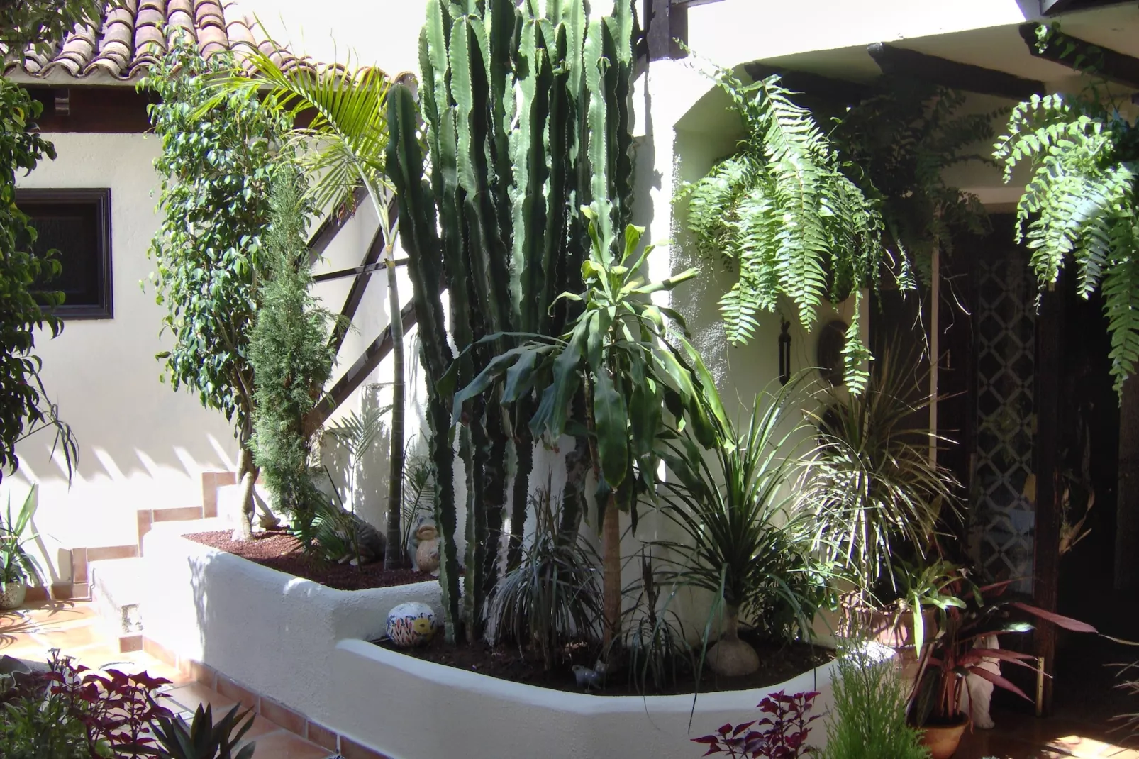 Apartamentos Monasterio de San Antonio 2 - Buitenkant zomer