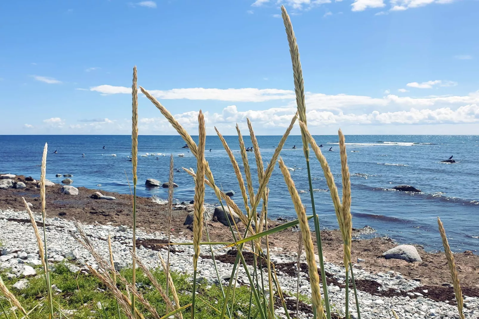 5 persoons vakantie huis in SMYGEHAMN - Waterzicht