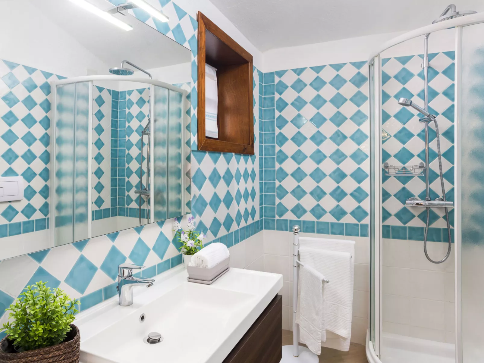 Bougainvillae Bilo - Binnen