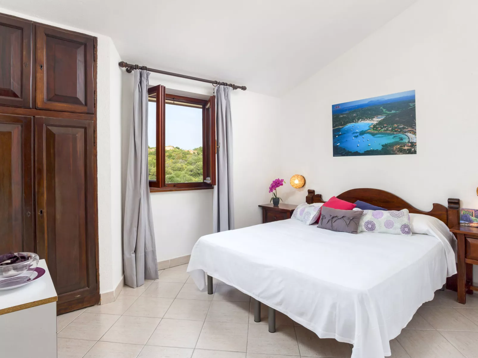 Bougainvillae Trilo - Binnen