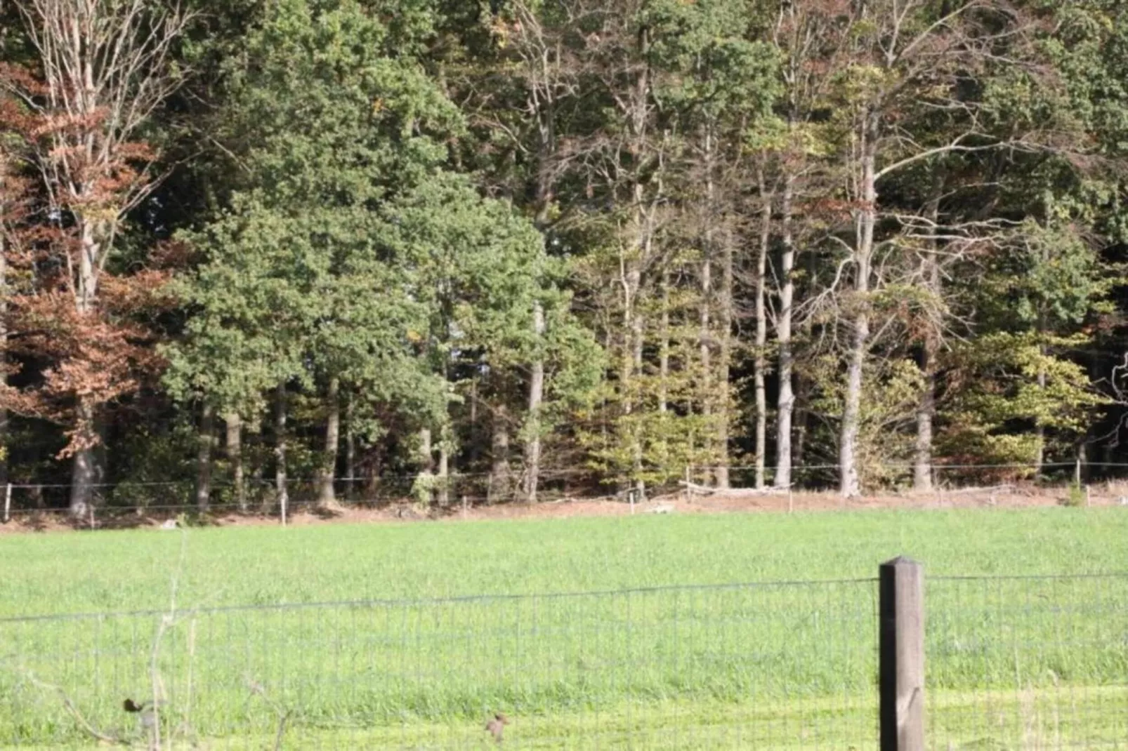 Chalet Egel - Gebieden zomer 20km