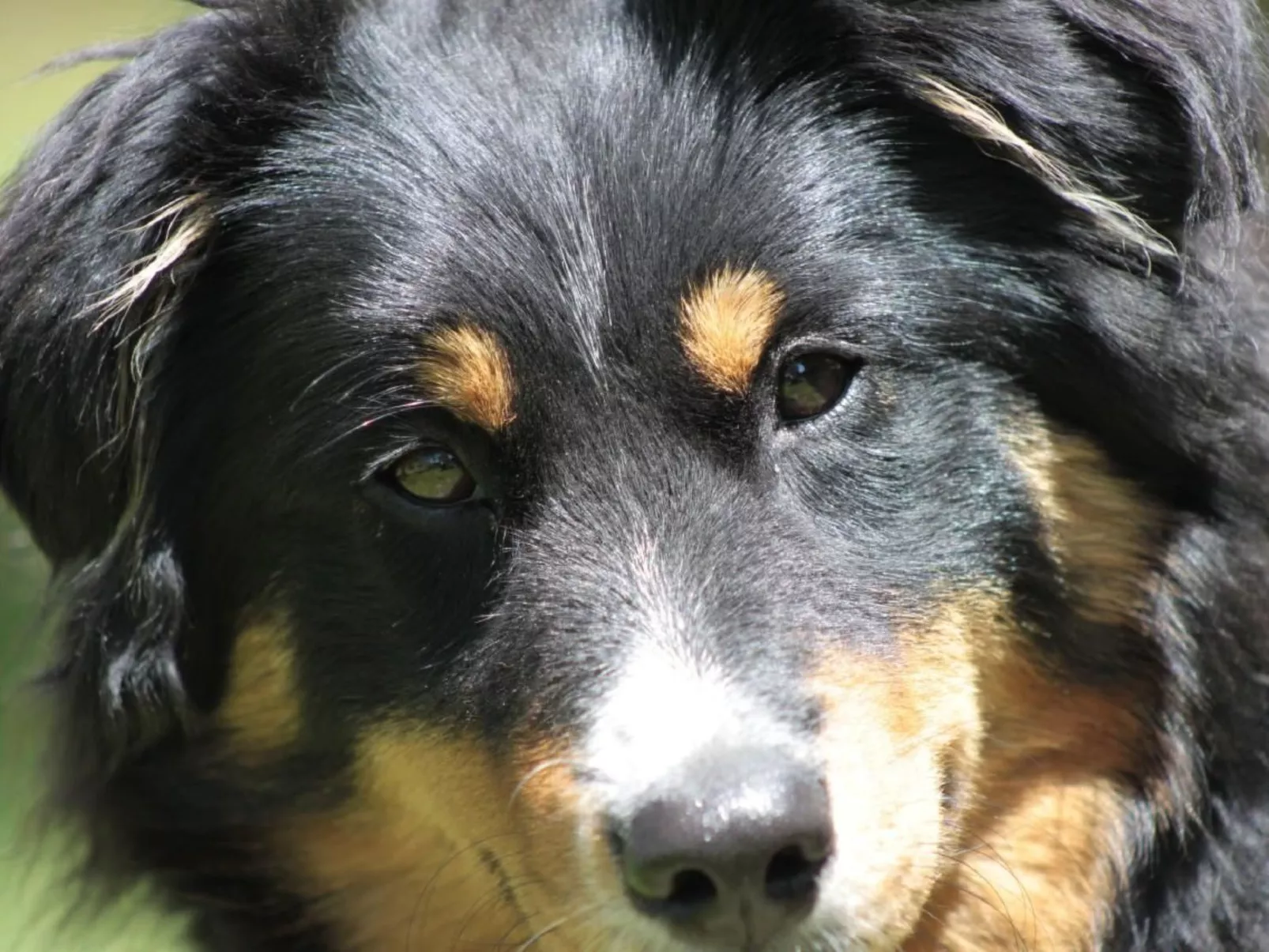 Bio Hof Rosentürmli gross - Buiten
