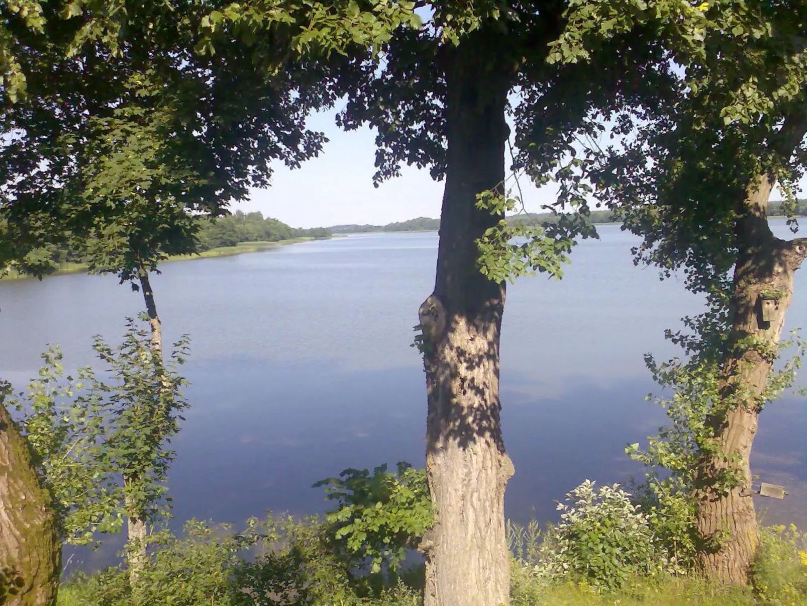 Zimmer mit Seeblick und Terrasse - Buiten