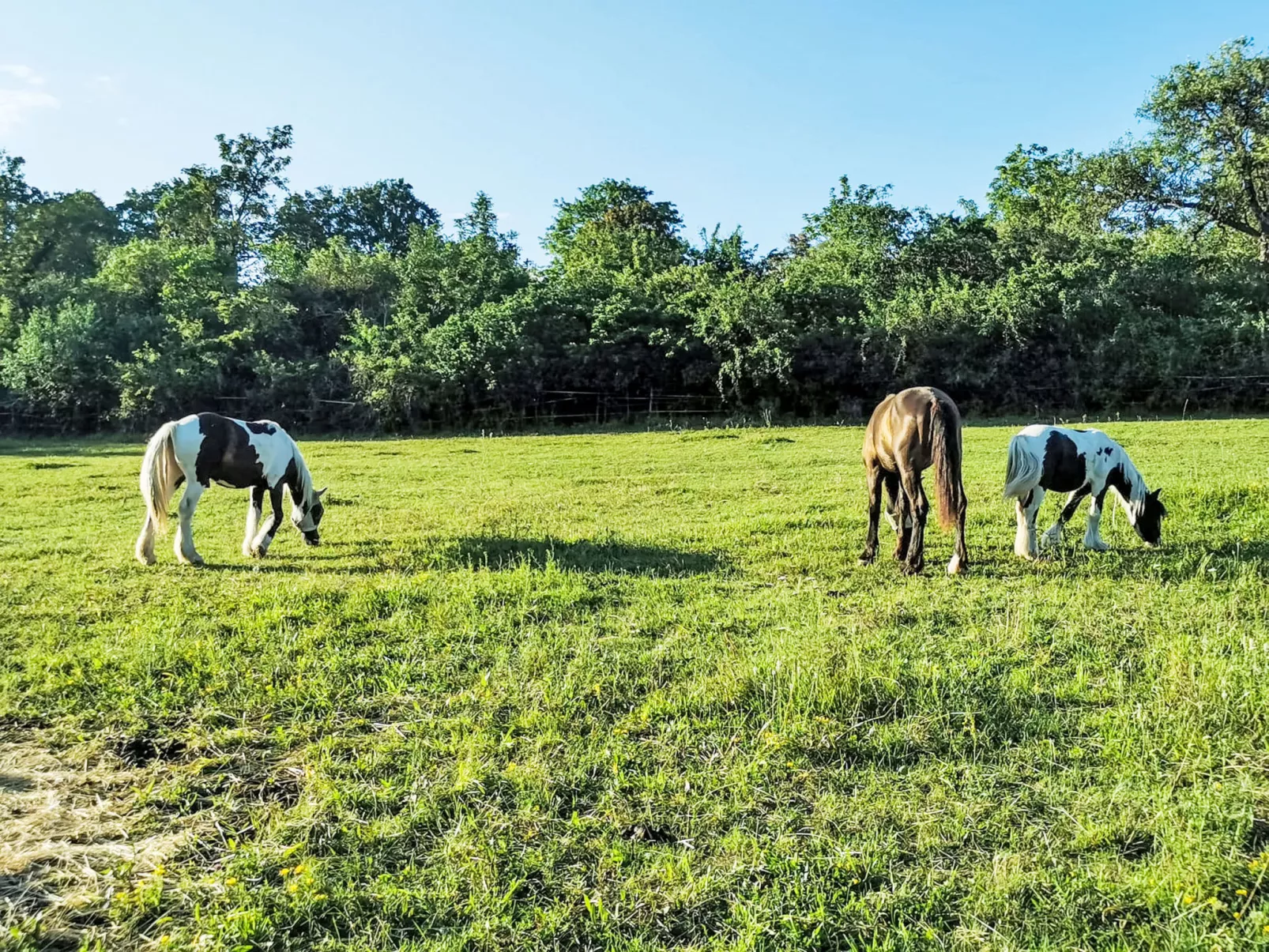 Tinkerhof Stahlhut - Buiten