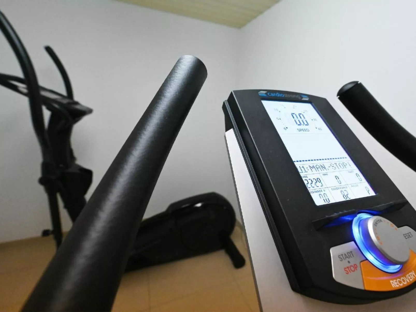 Appartement Alpenblick / F5 - Binnen