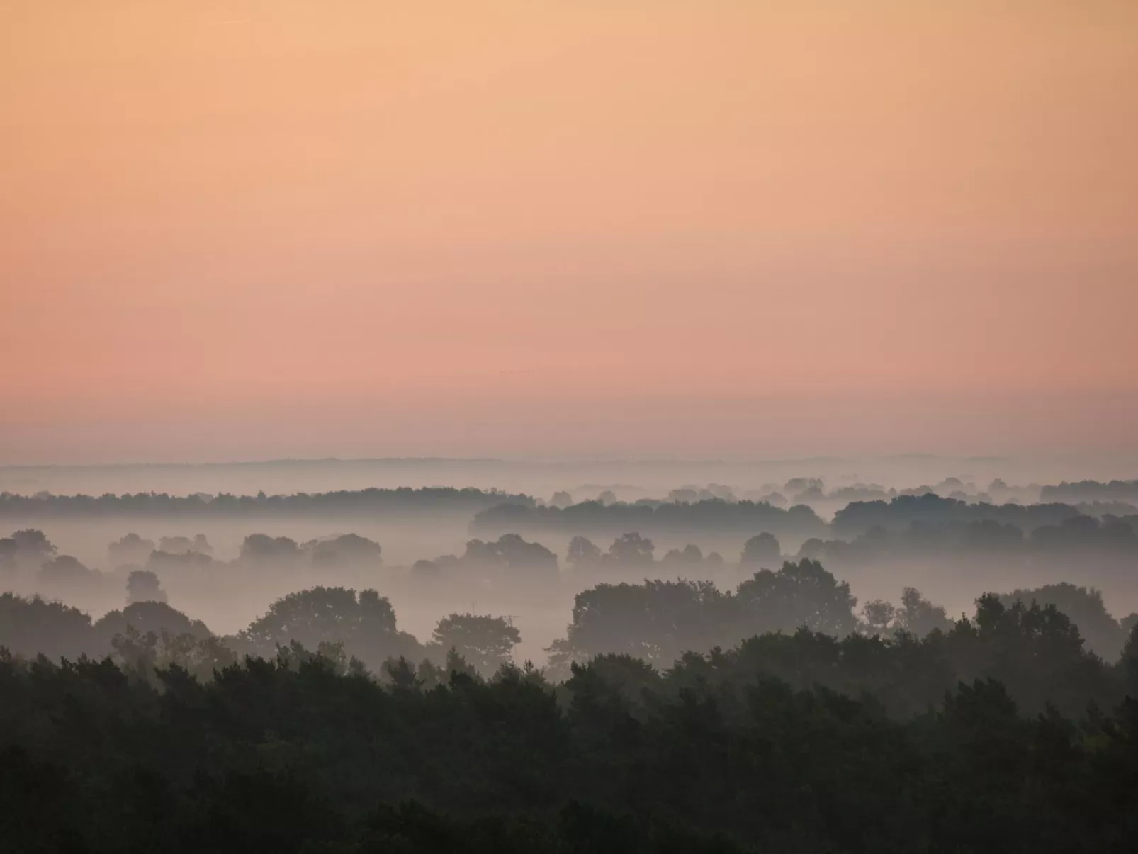 Wohnung mit Panoramaverglasung und Meerblick - Buiten