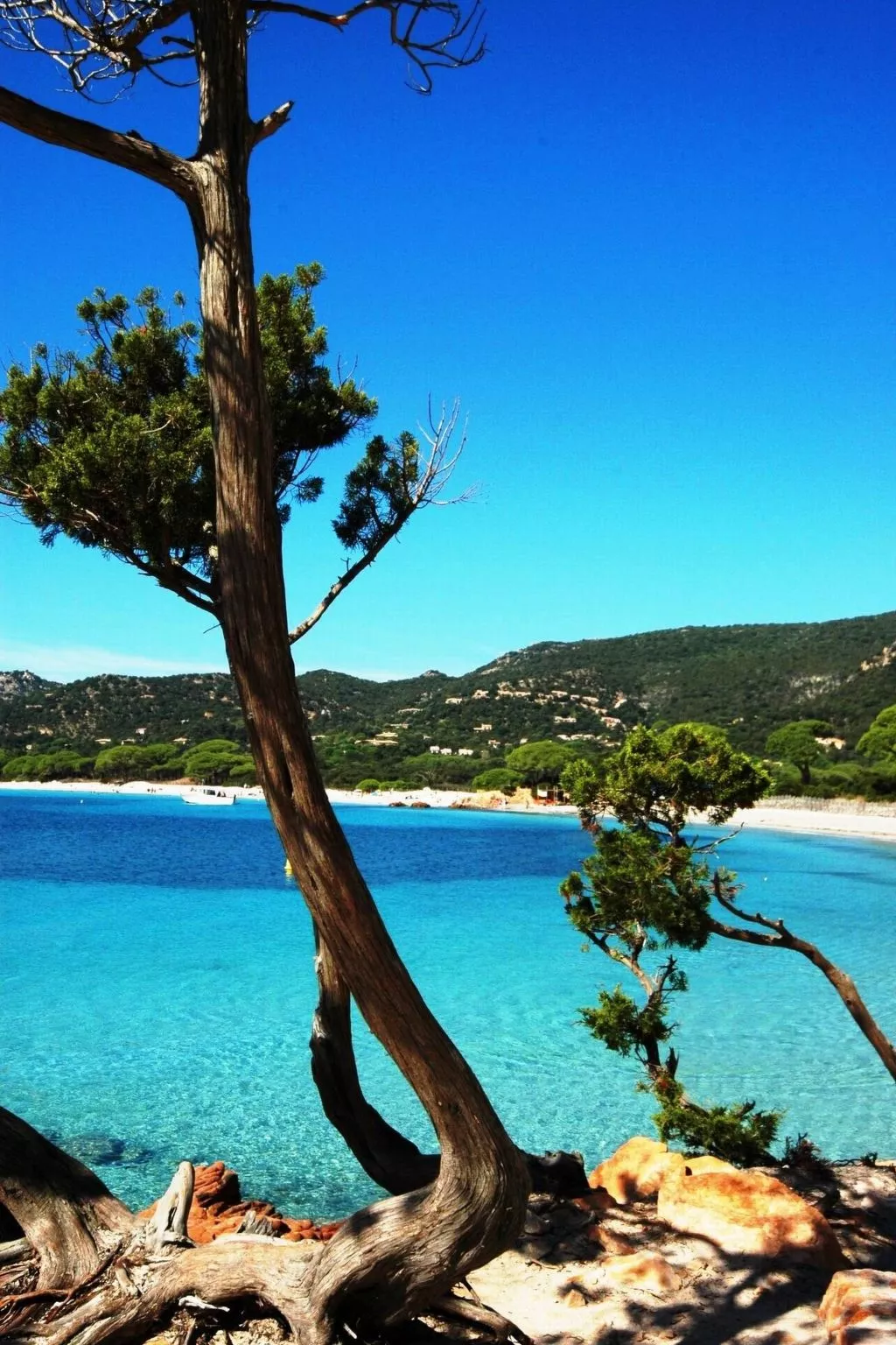 Unterkunft mit AC, Gemeinschaftspool, Nähe zum Meer - Buiten