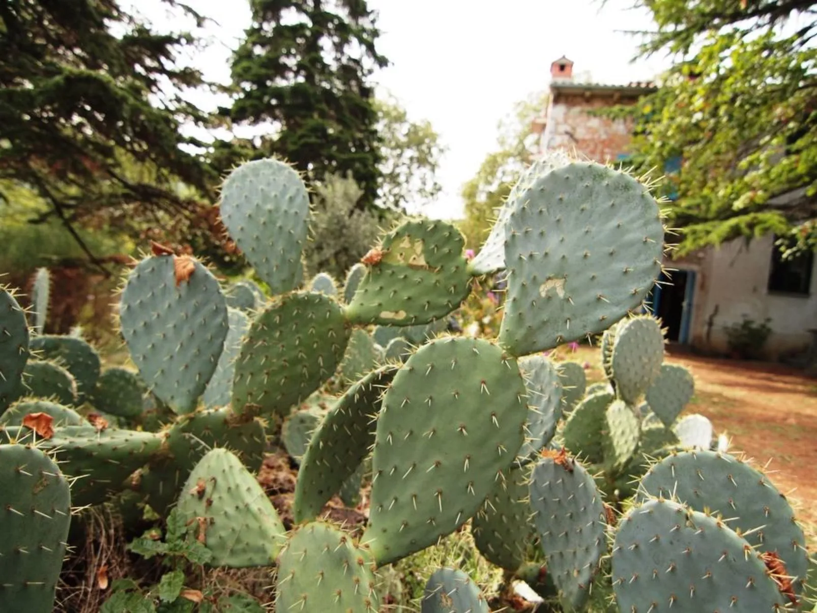 Modernes Ferienhaus in Drenje mit Privatem Garten - Binnen