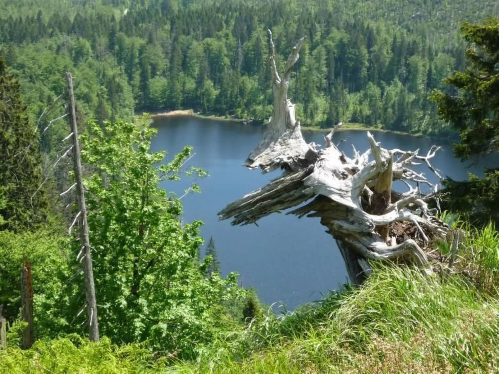 Moderne Ferienwohnung mit Gartennutzung - Buiten