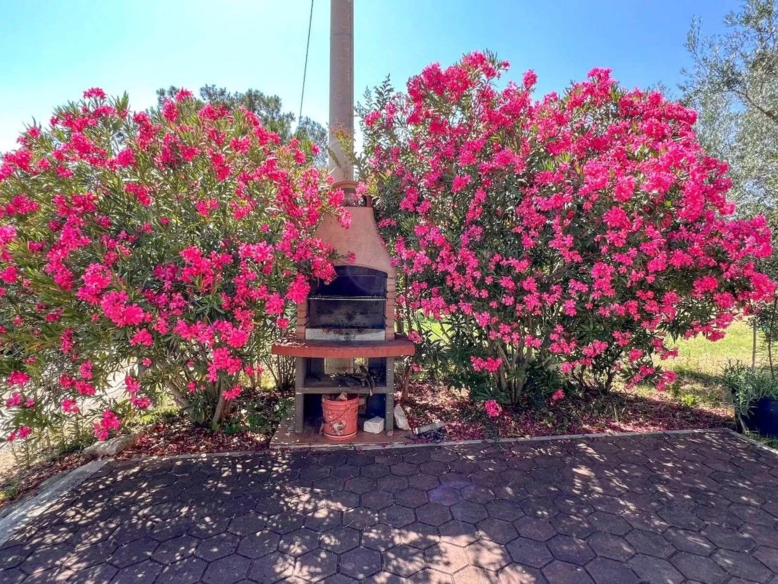 Wohnung "Viola" mit Balkon - Buiten