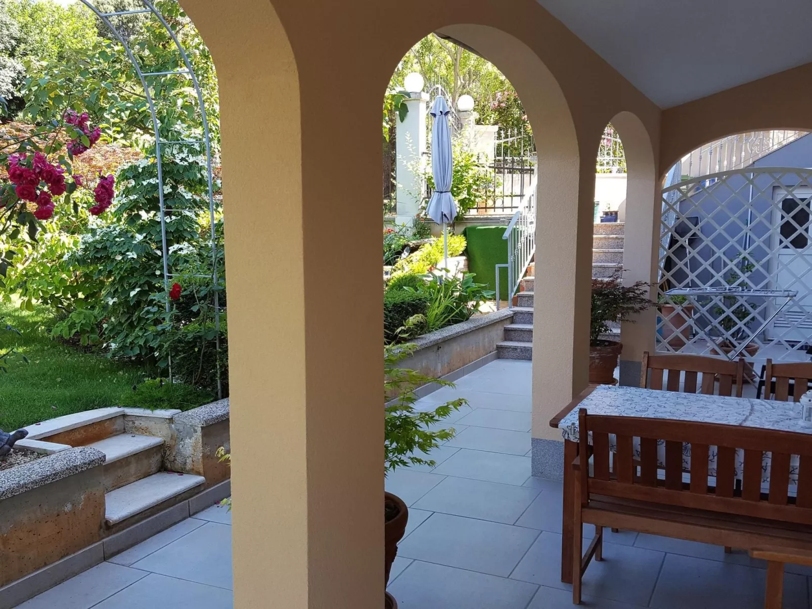 Ginkgo 4 - Image-tags.info