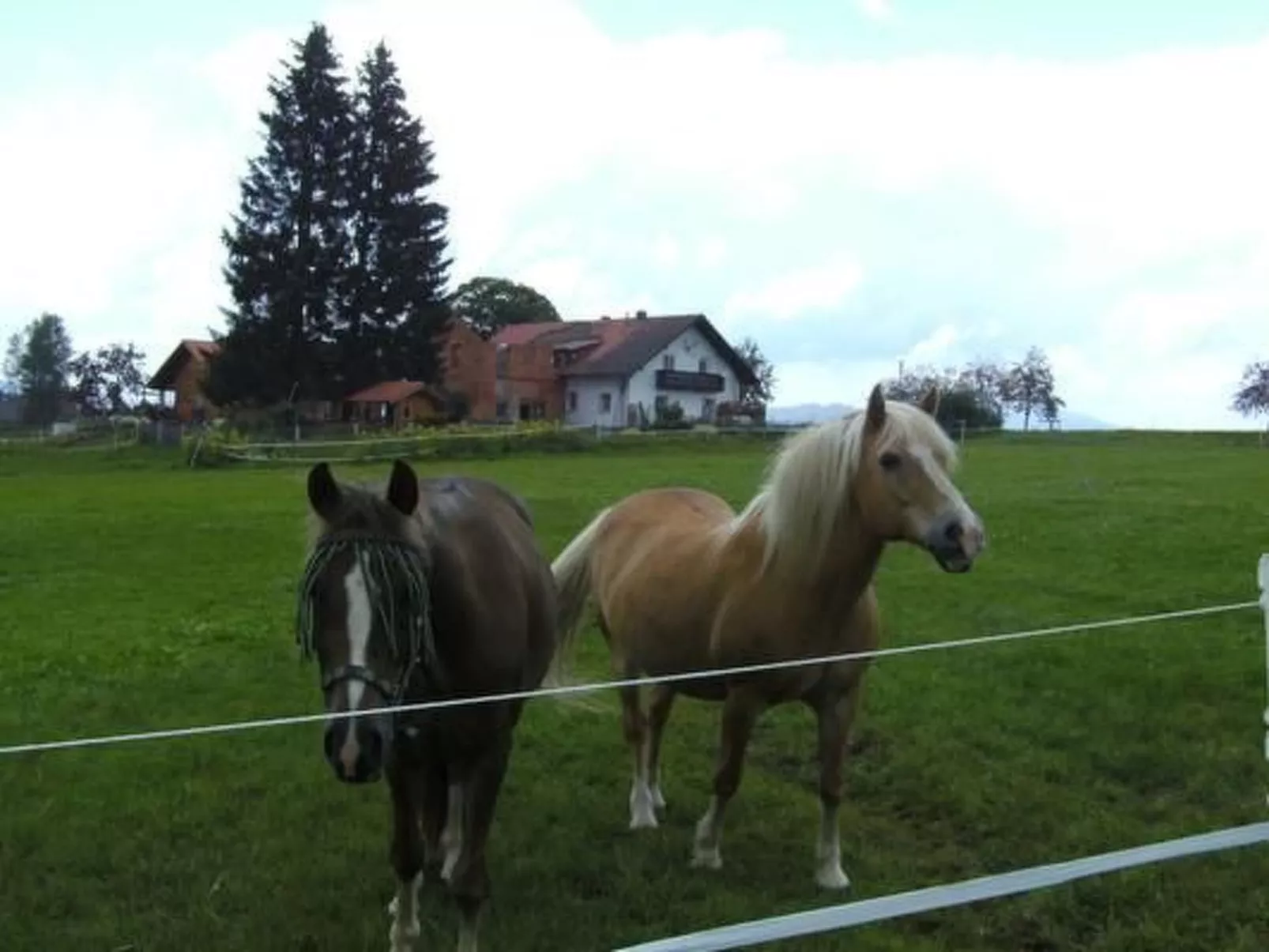 Wohnung in Haidmühle mit Terrasse und Garten - Image-tags.info