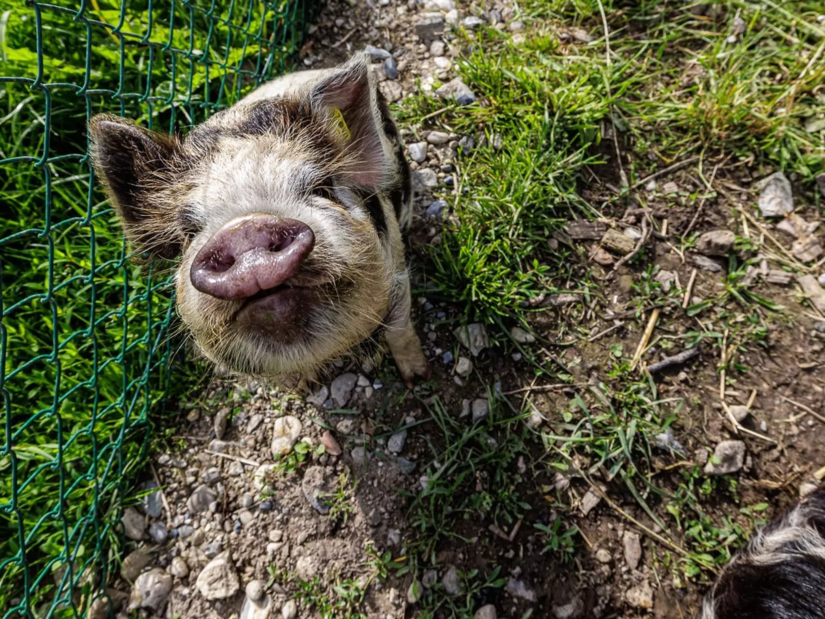Uelis-Stoeckli - Buiten