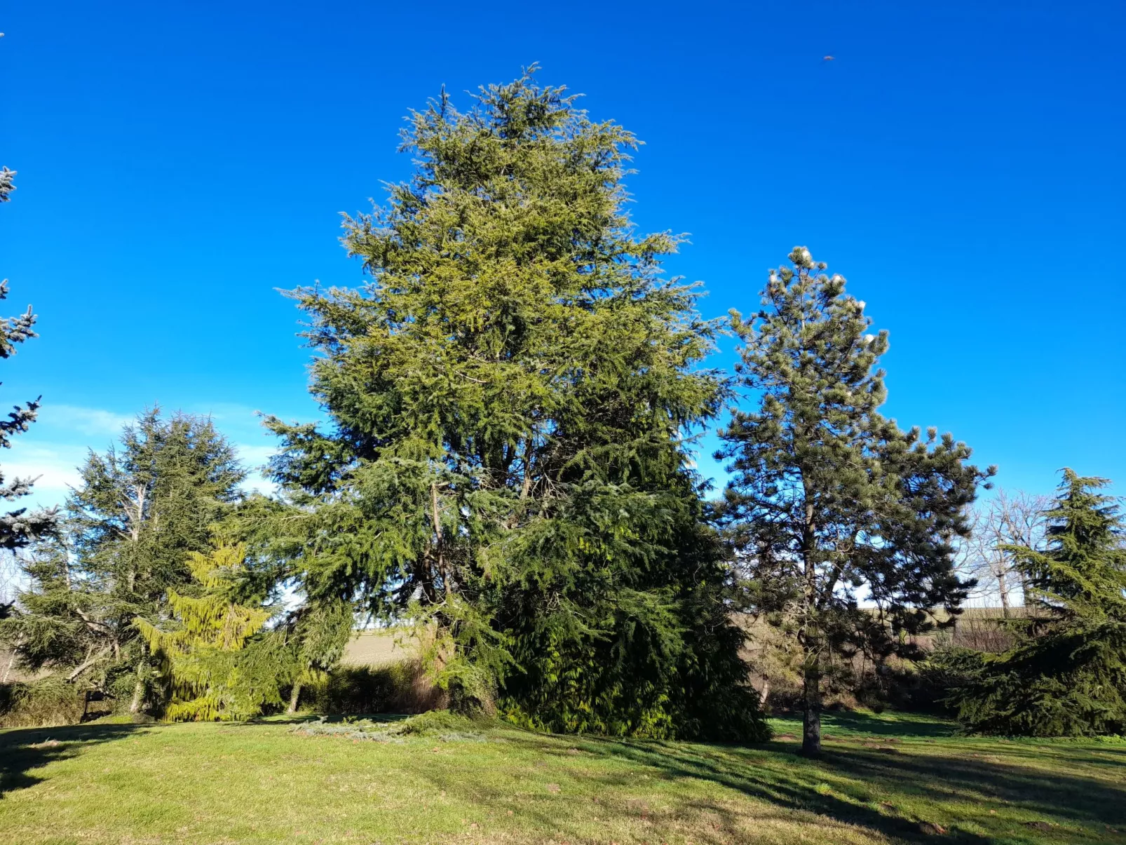 Charmantes Haus in der Auvergne - Image-tags.info