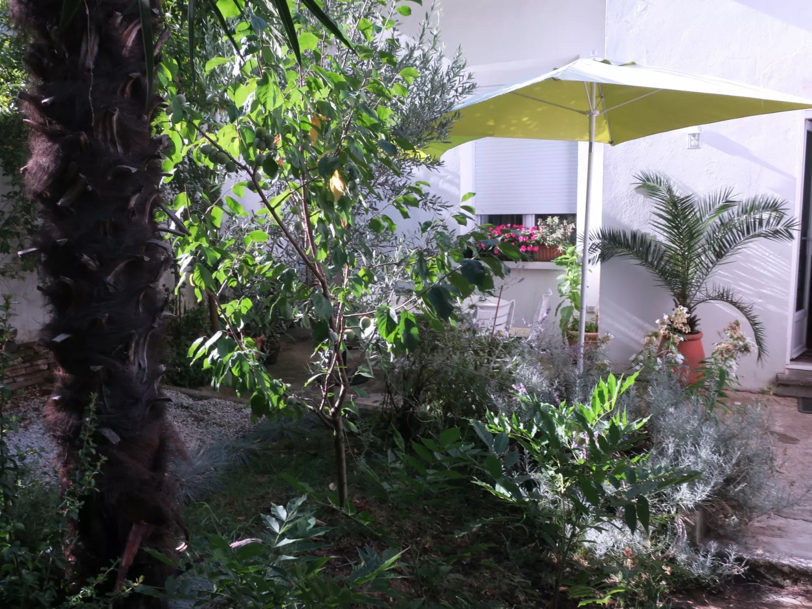 Gästezimmer "Toulousaine arborée". - Buiten