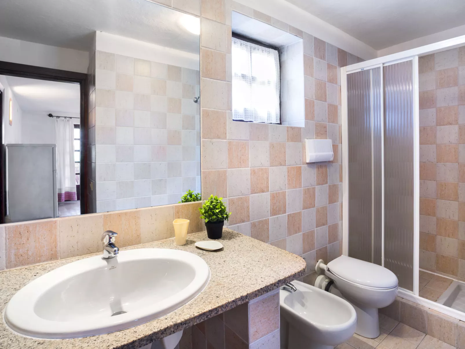 Bougainvillae Bilo - Binnen