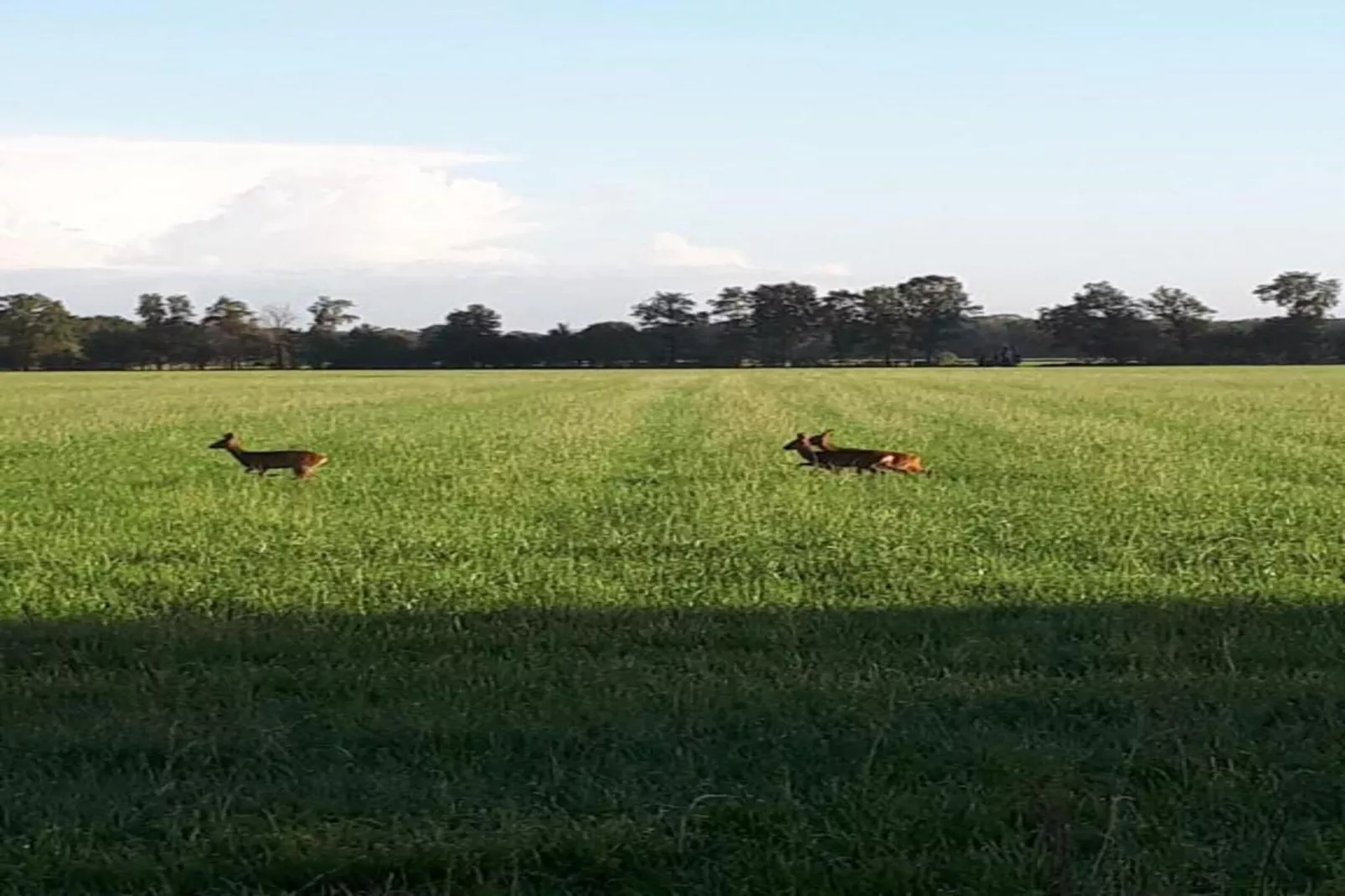 Chalet Egel - Gebieden zomer 20km