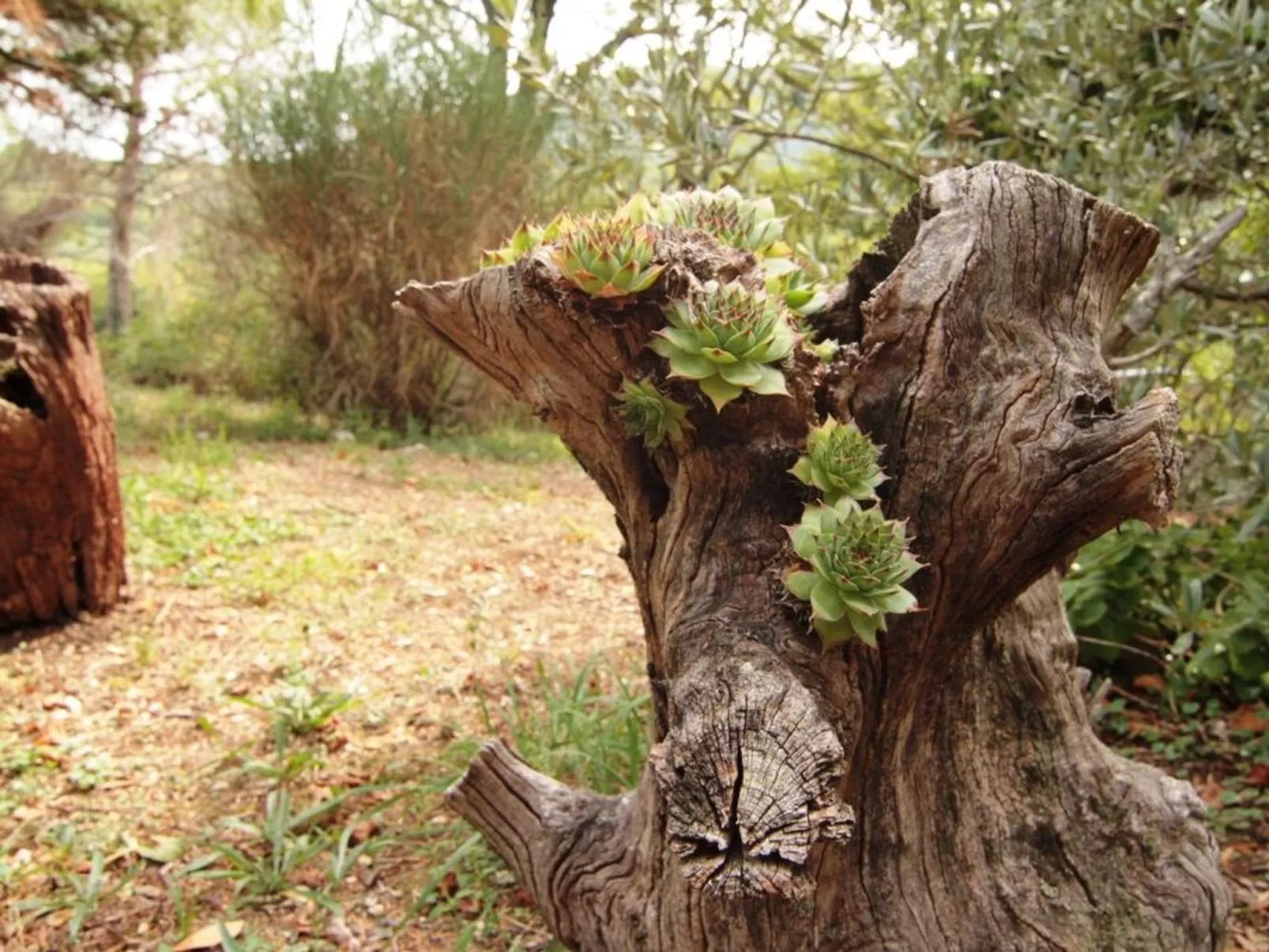 Modernes Ferienhaus in Drenje mit Privatem Garten - Binnen
