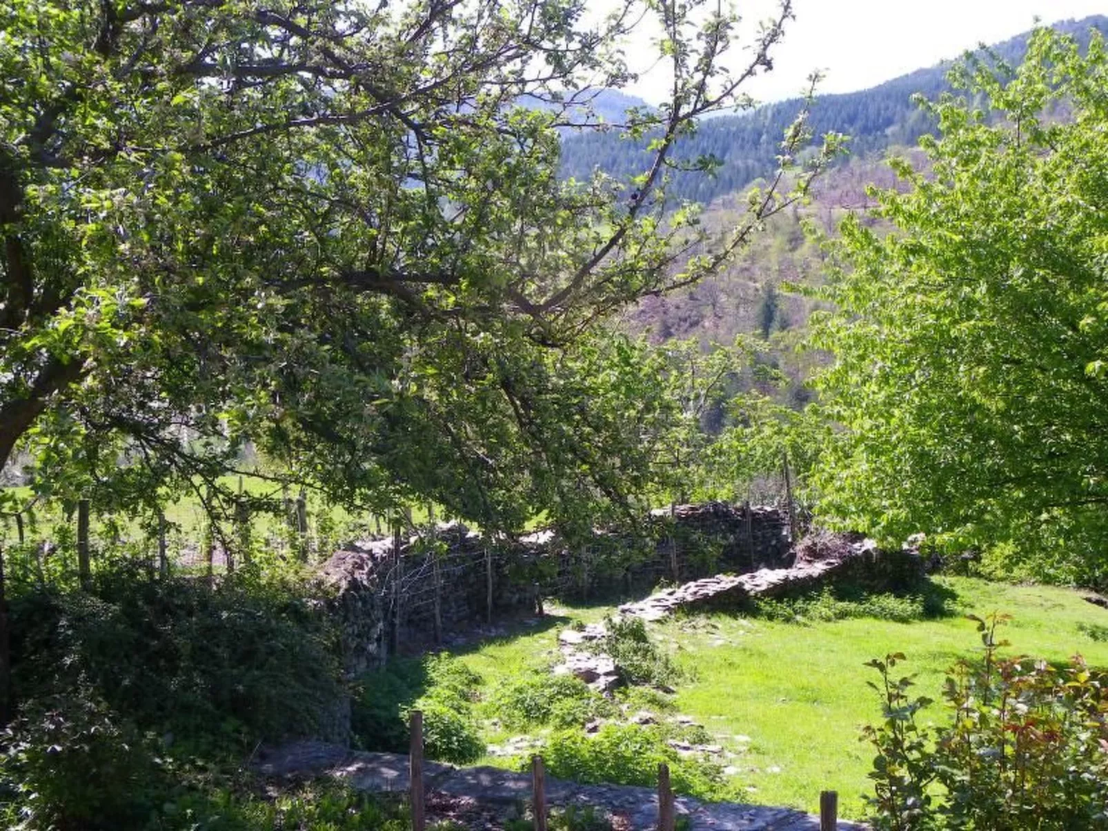 Wohnung "Saint Andre de Lancize" mit Terrasse - Image-tags.info