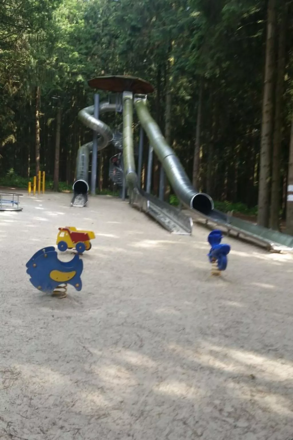 Wohnung in Börgerwald mit Sauna - Image-tags.info