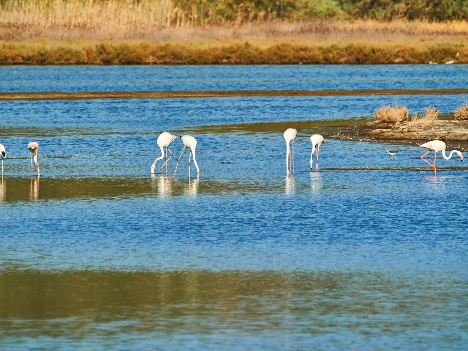 Wohnung in Kallithea mit Garten und Terrasse - Image-tags.info
