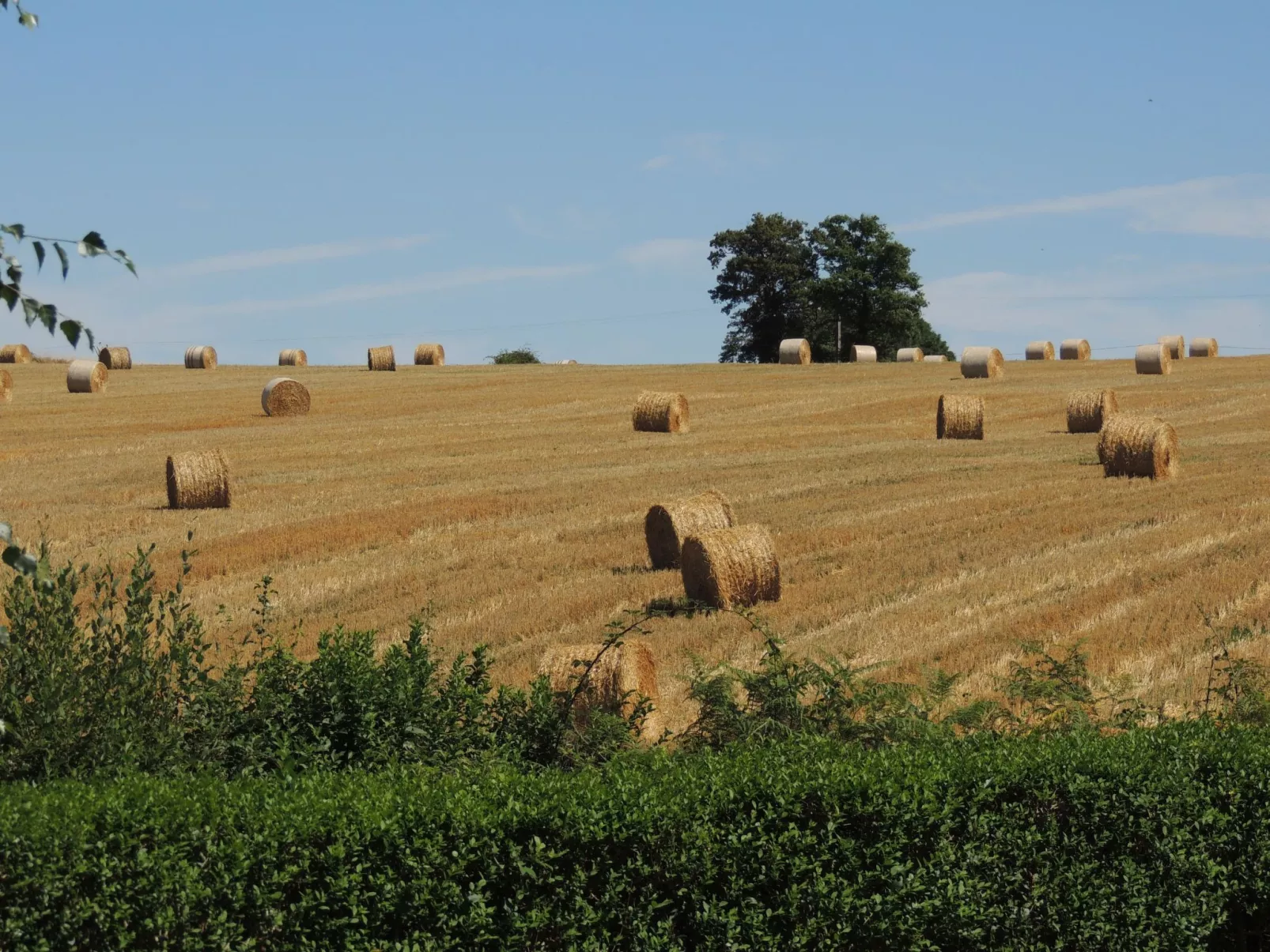 Charmantes Haus in der Auvergne - Image-tags.info
