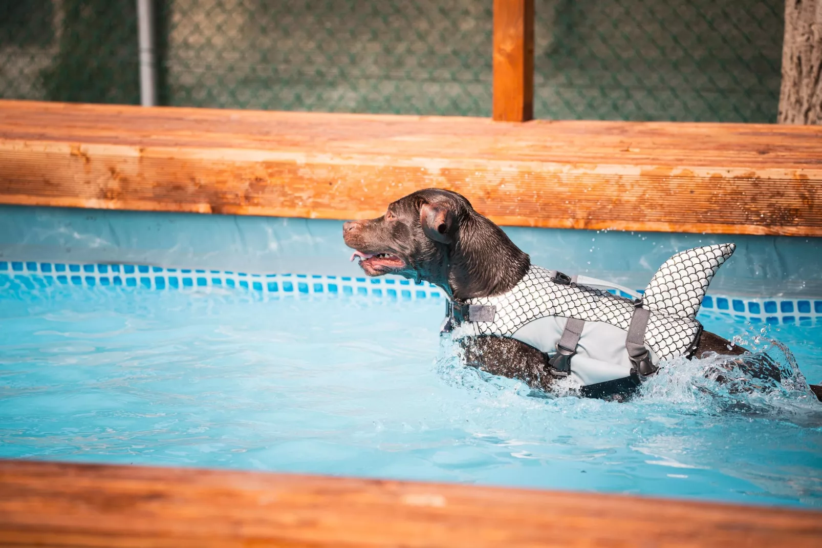 Rimini Family Resort - LODGE dog on request - Parkfaciliteiten