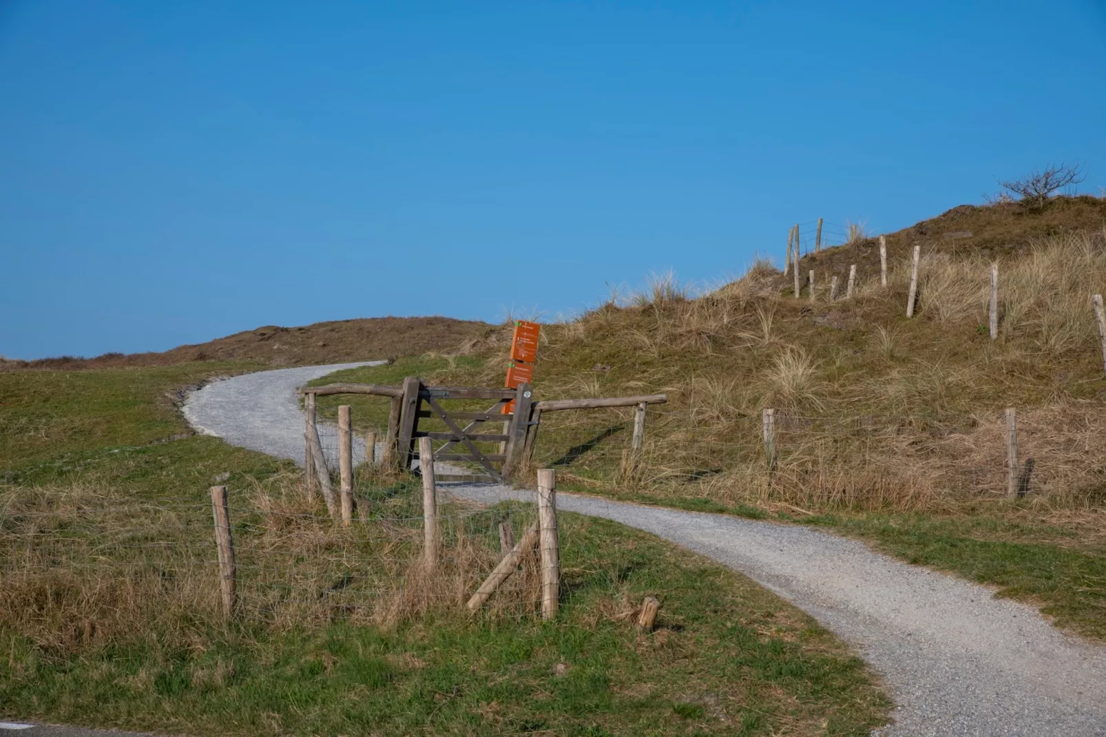 Duinland 248 (copy) - Gebieden zomer 1km