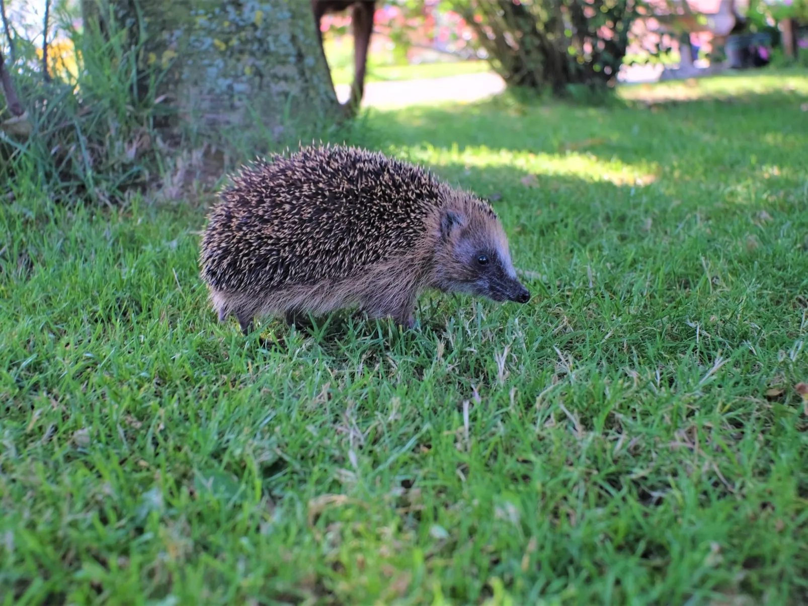 Doppelzimmer mit Frühstück - Buiten