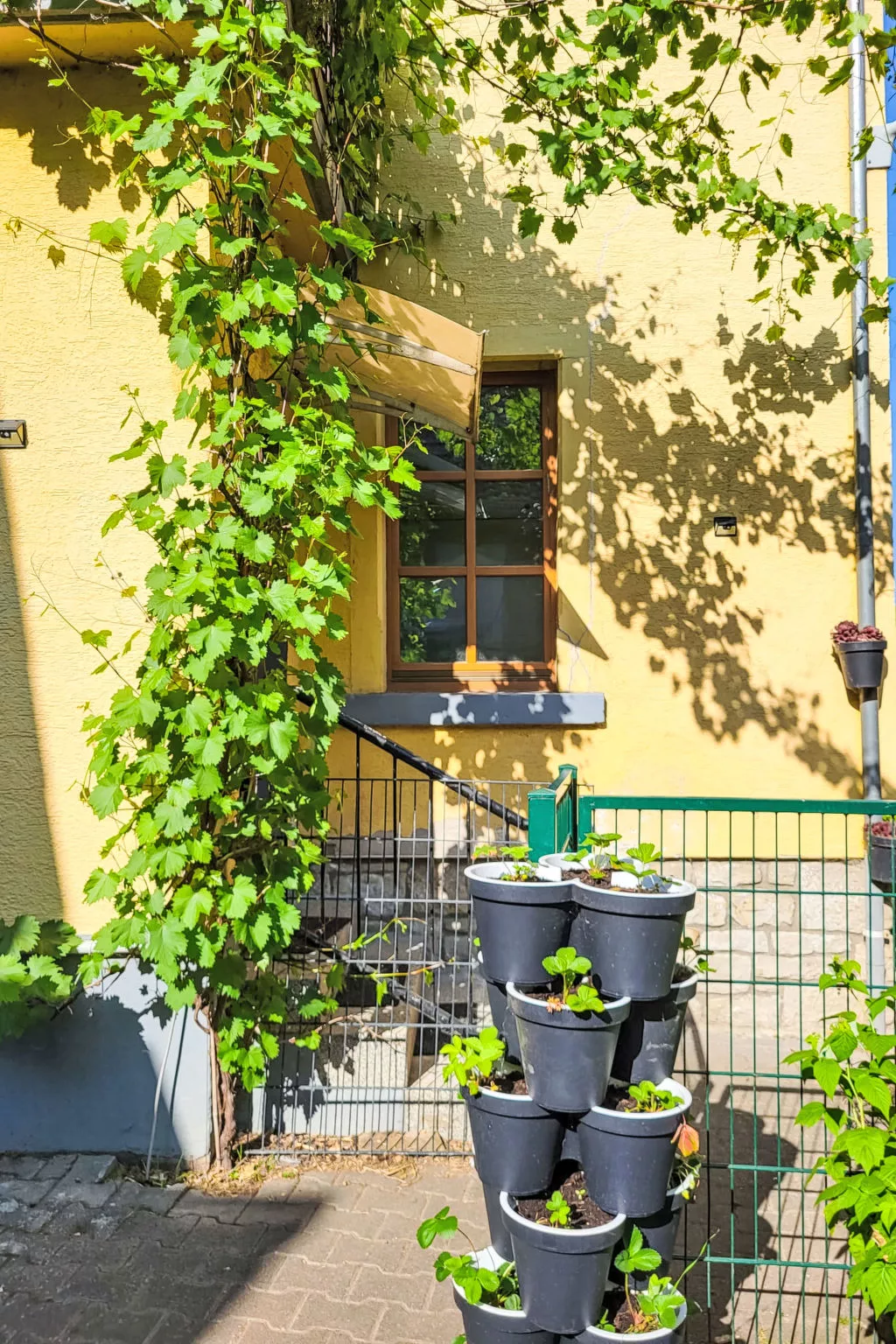 Tinkerhof Stahlhut - Buiten