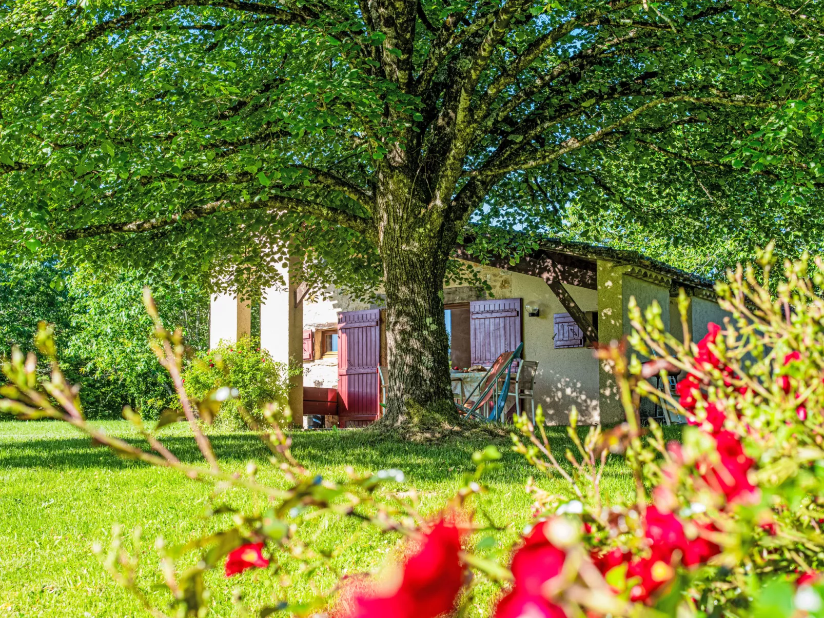 Gites de la Goujatte - Buiten