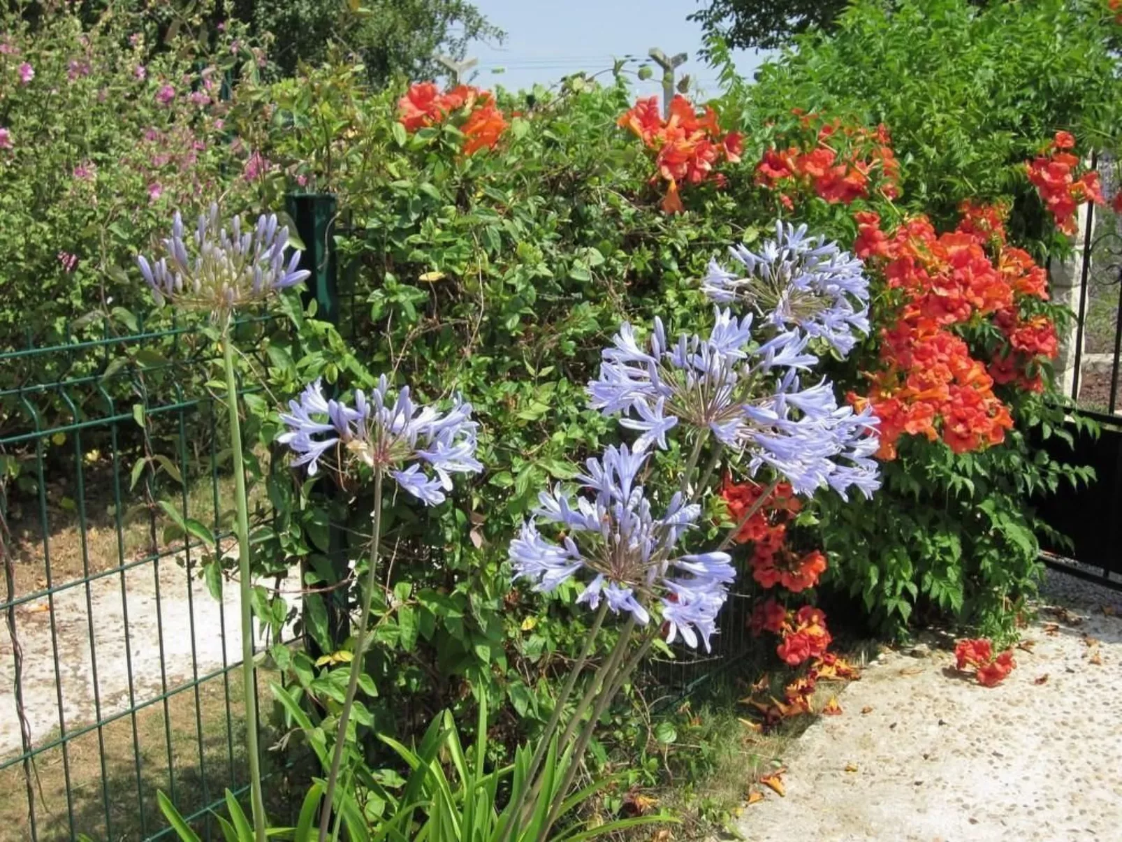 Haus "l'Ecurie" mit Terrasse und Garten - Image-tags.info