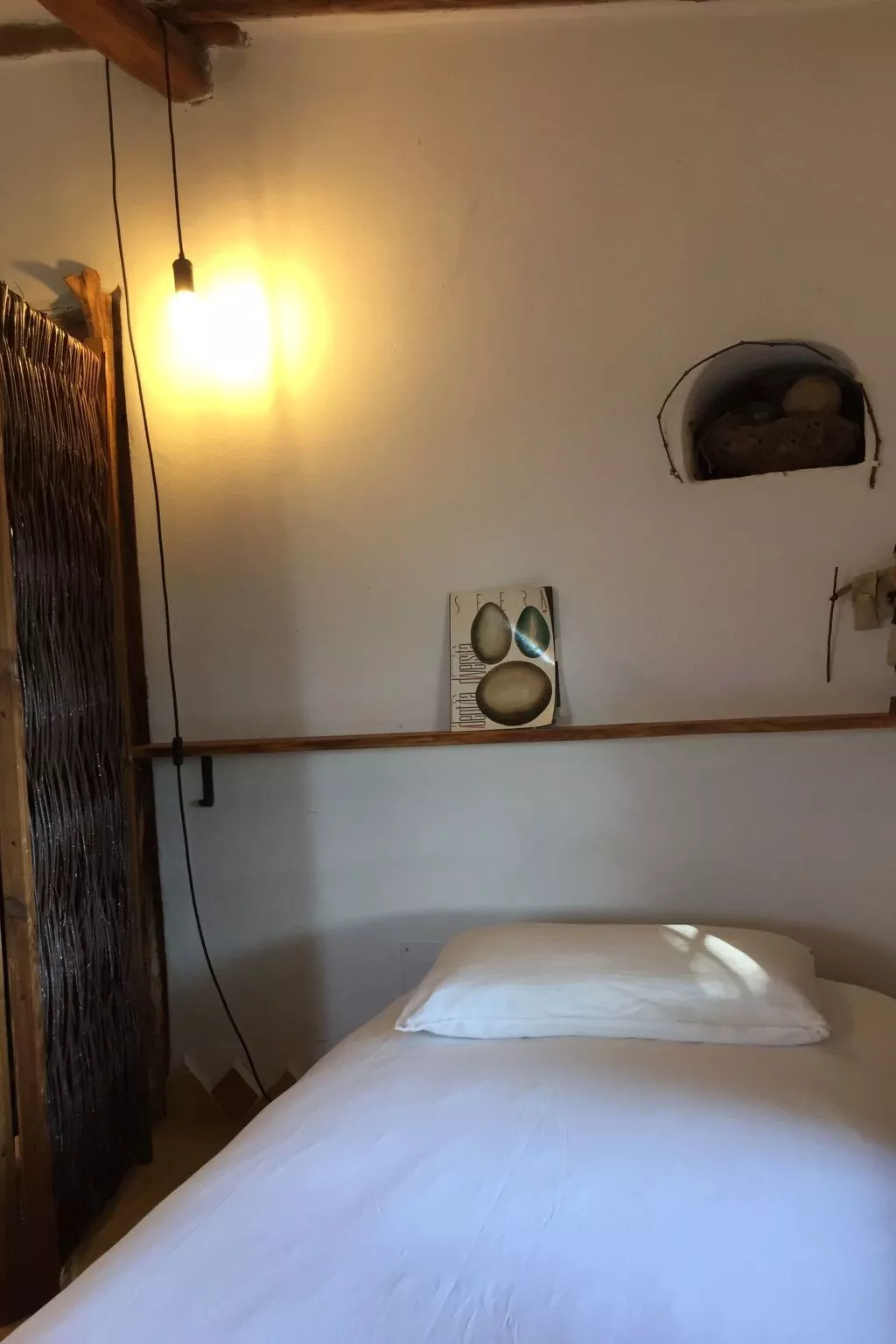 "Cosima" mit Blick auf das Wasser - Image-tags.info