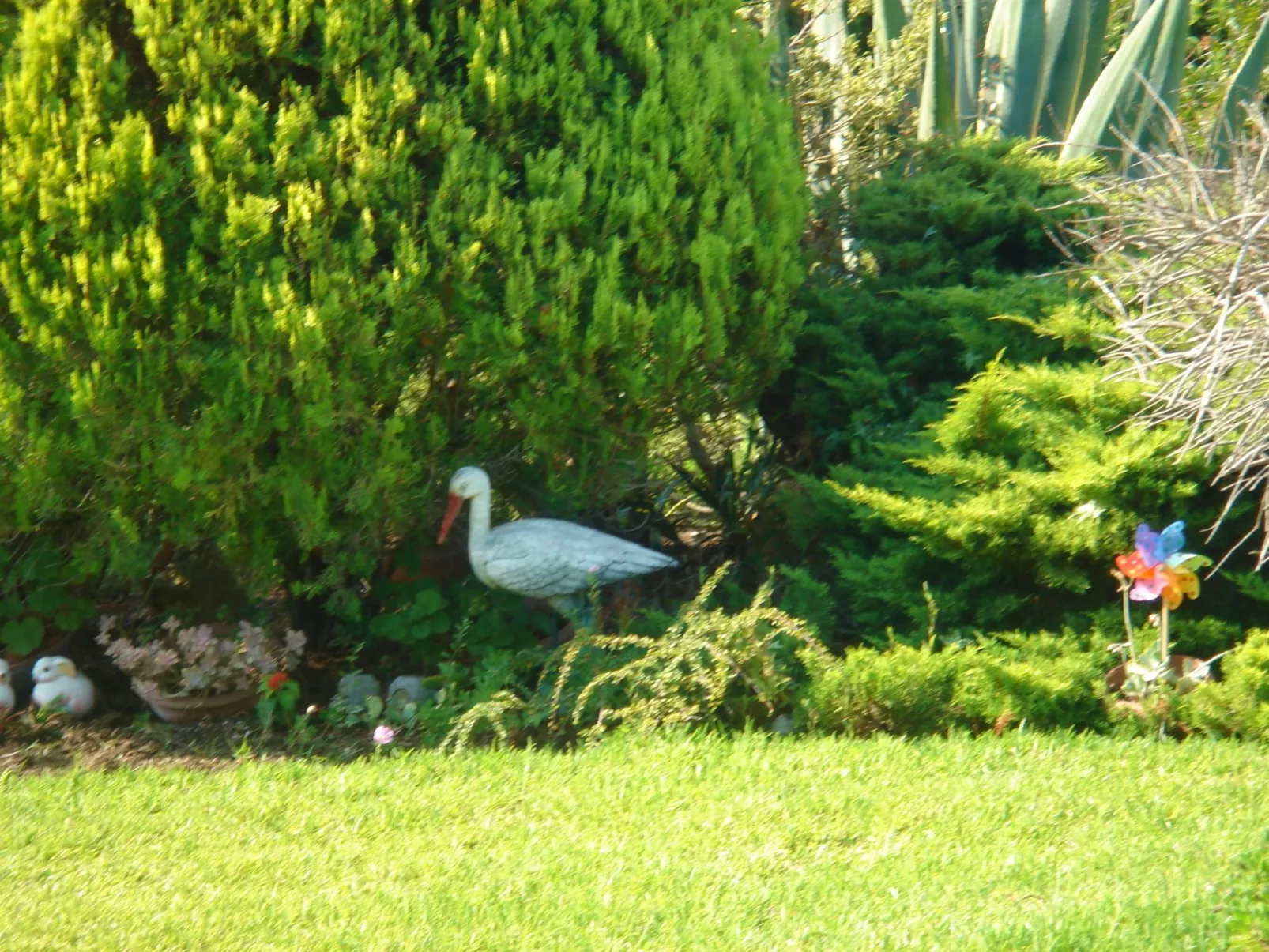 Aus dem Garten direkt an den Strand - Image-tags.info